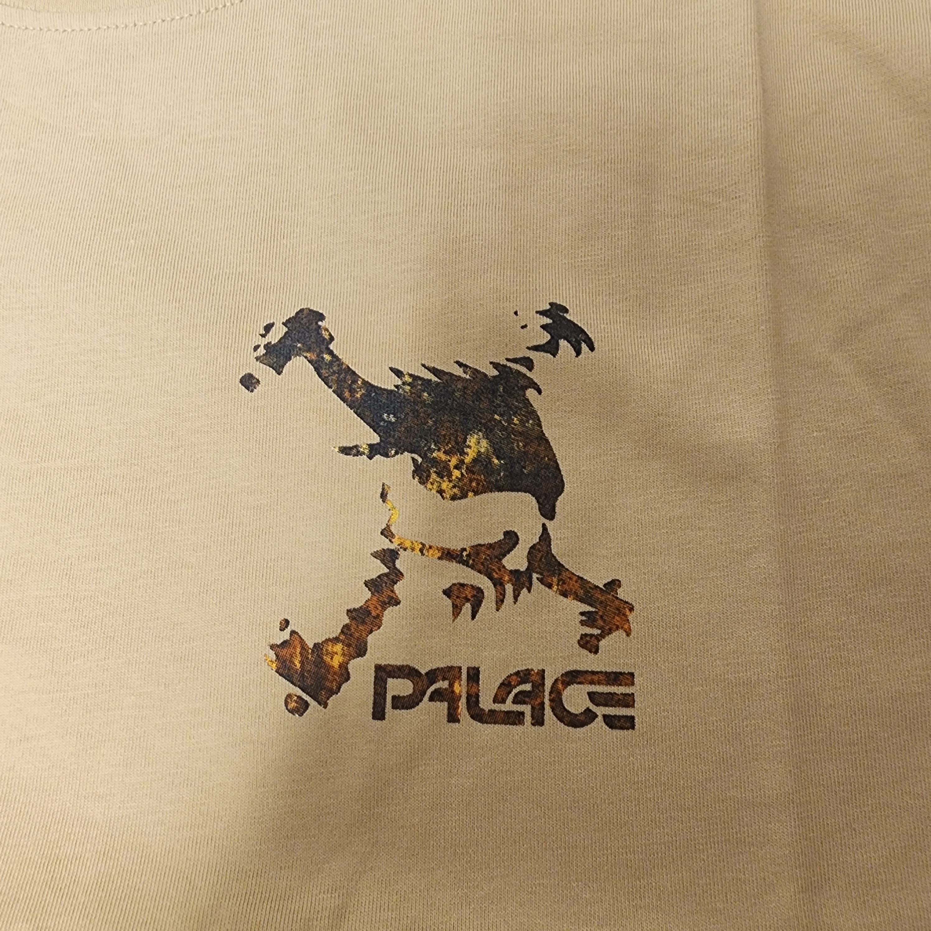 Palace x Oakley T-Shirt Sand - 23SS 착용 스타일 - 3