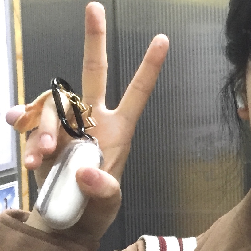 Apple AirPods Pro (Korean Ver.) 착용 스타일