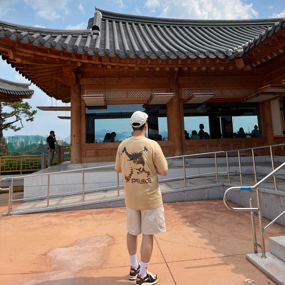 New Balance 990v2 Made in USA Brown Beige, Palace x Oakley T-Shirt Sand - 23SS 착용 스타일