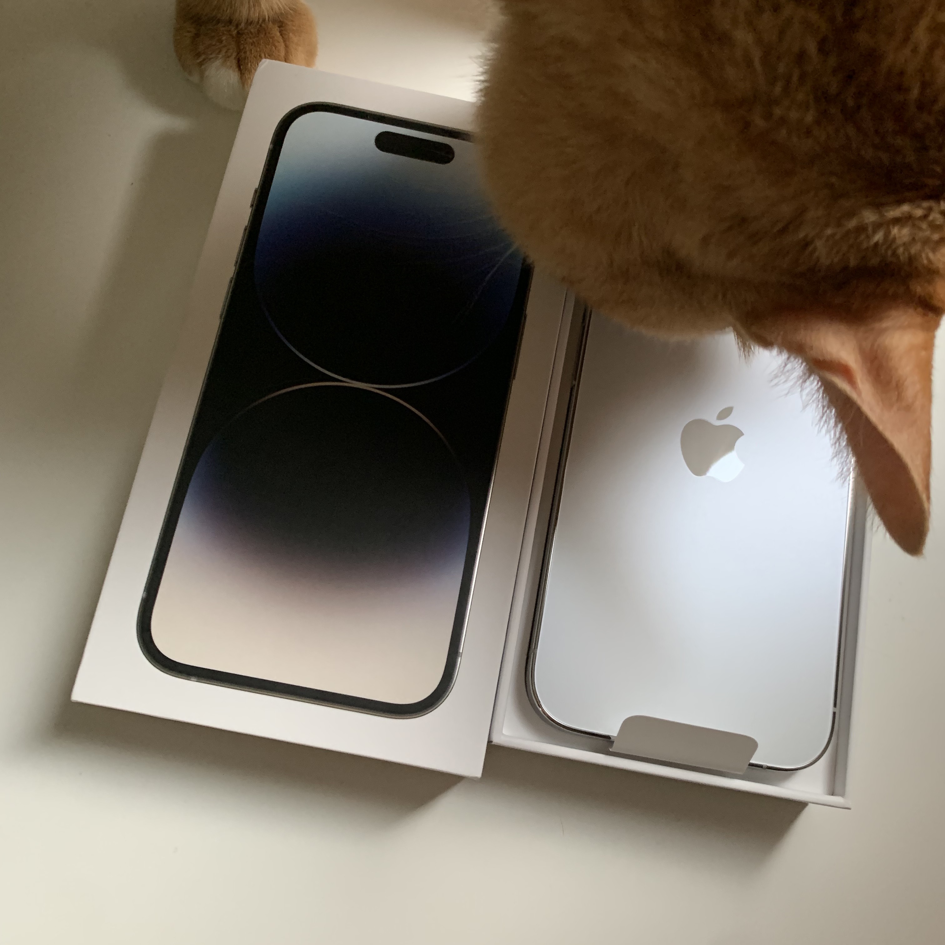 Apple iPhone 14 Pro 128GB Silver (Korean Ver.) 착용 스타일 - 1