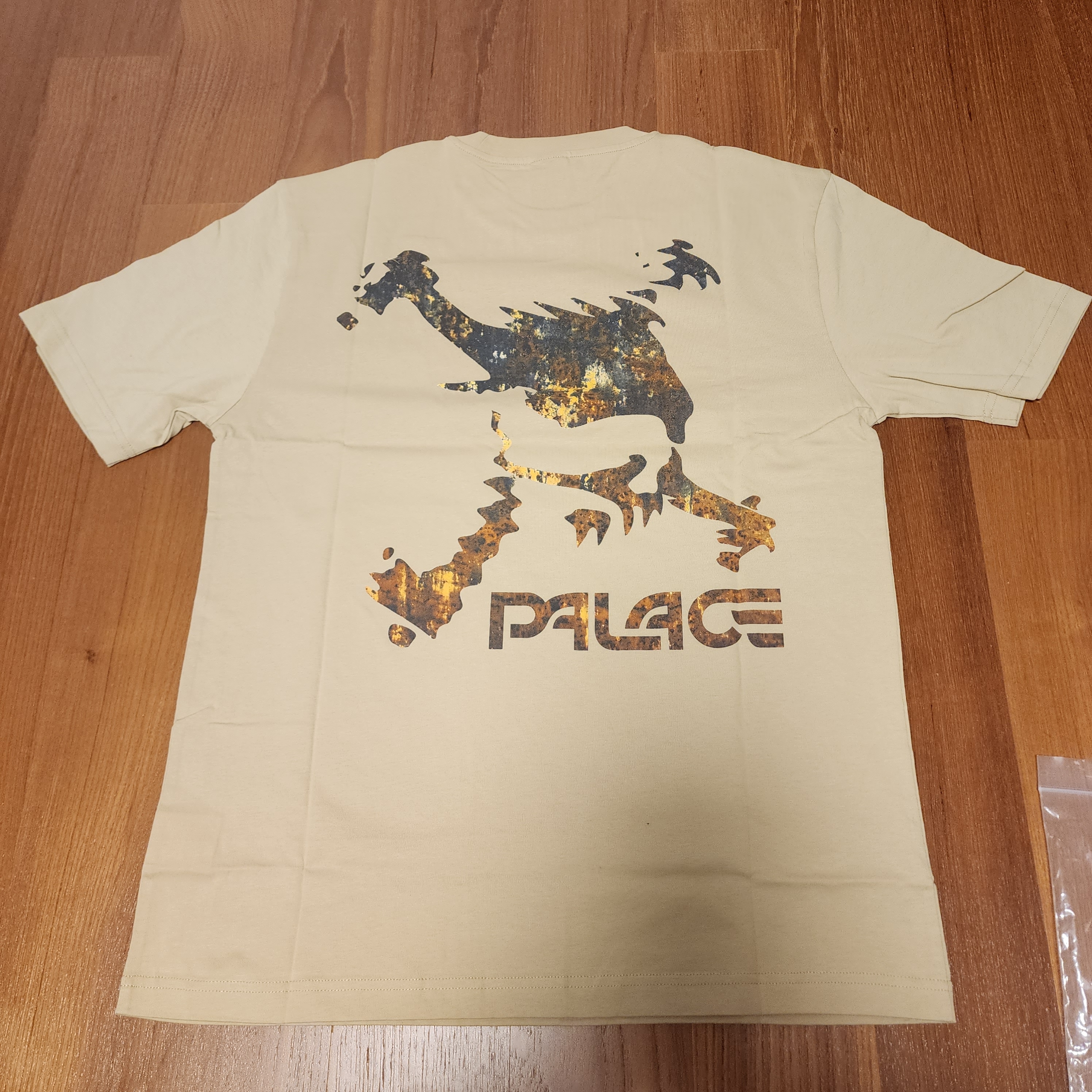 Palace x Oakley T-Shirt Sand - 23SS 착용 스타일 - 2