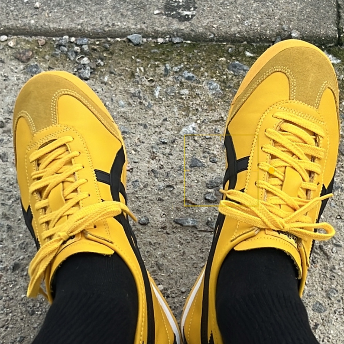 Onitsuka Tiger Mexico 66 Yellow Black 착용 스타일 - 2