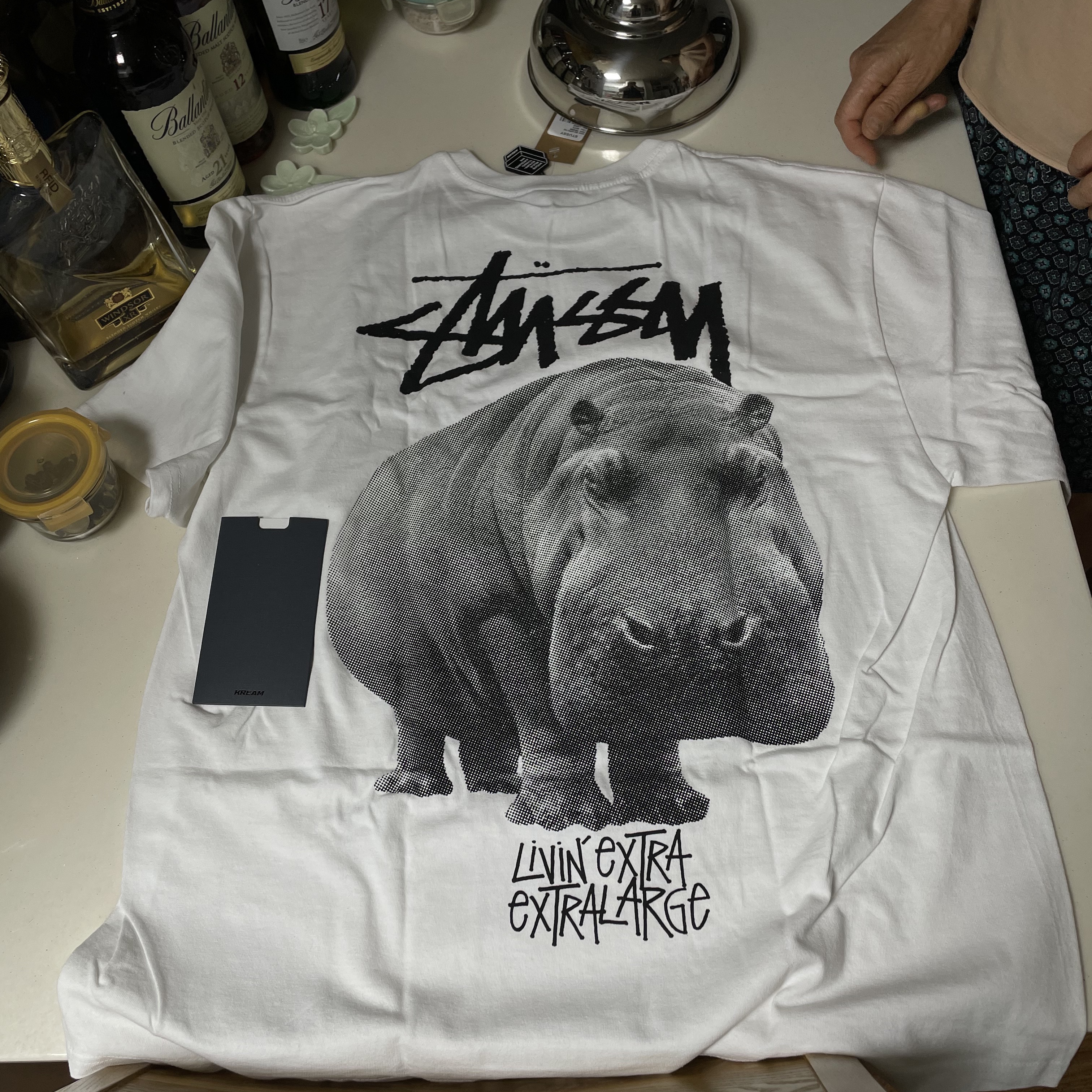 Stussy Livin' Large T-Shirt White 착용 스타일 - 1