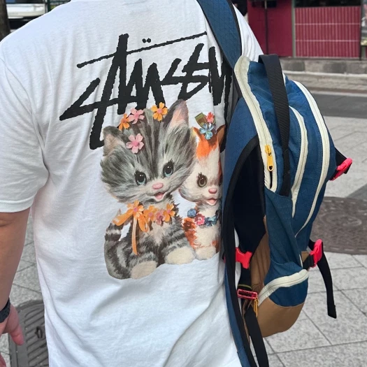 스타일 카드