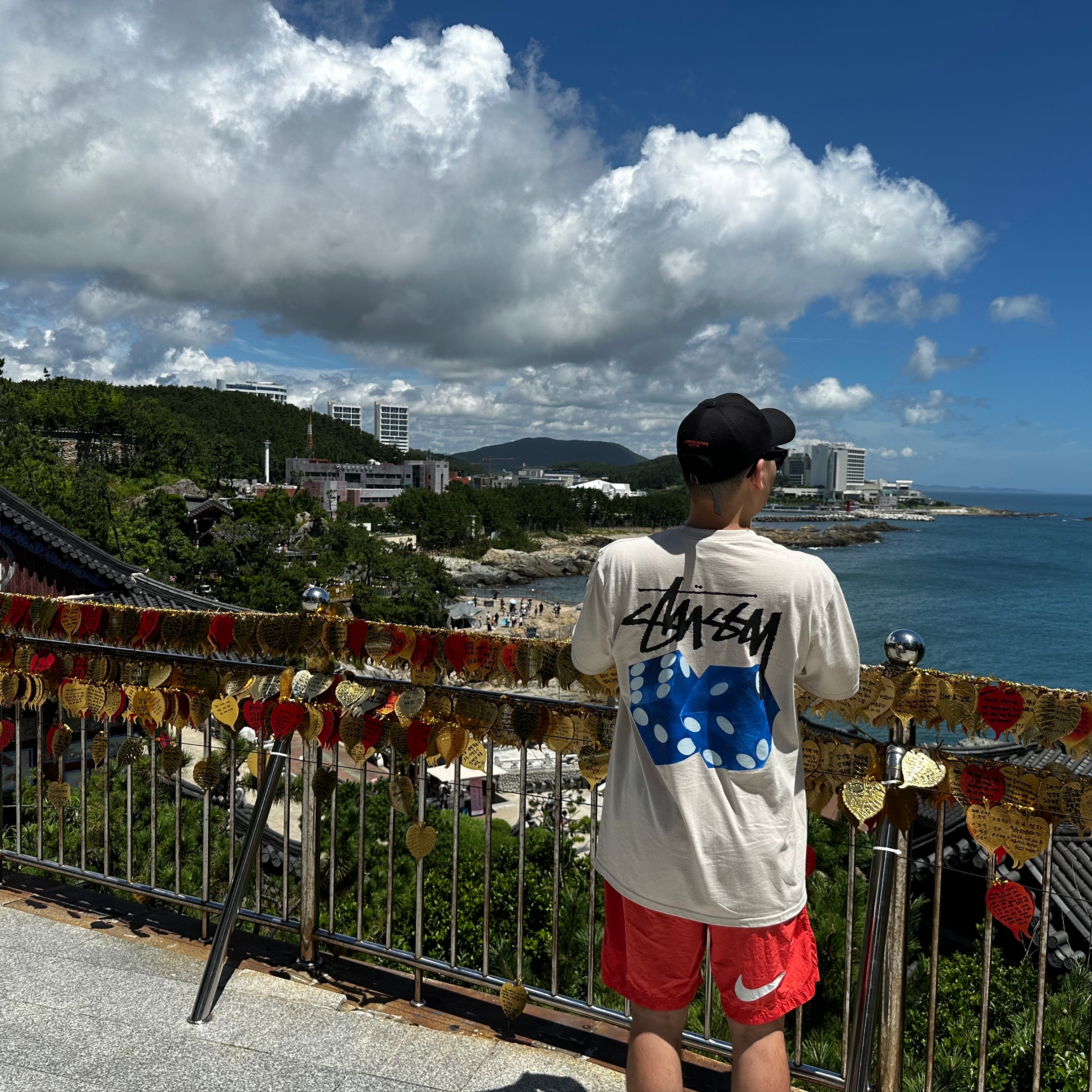 Stussy Diced Out T-Shirt Smoke, Nike x Stussy Water Shorts Habanero Red 착용 스타일