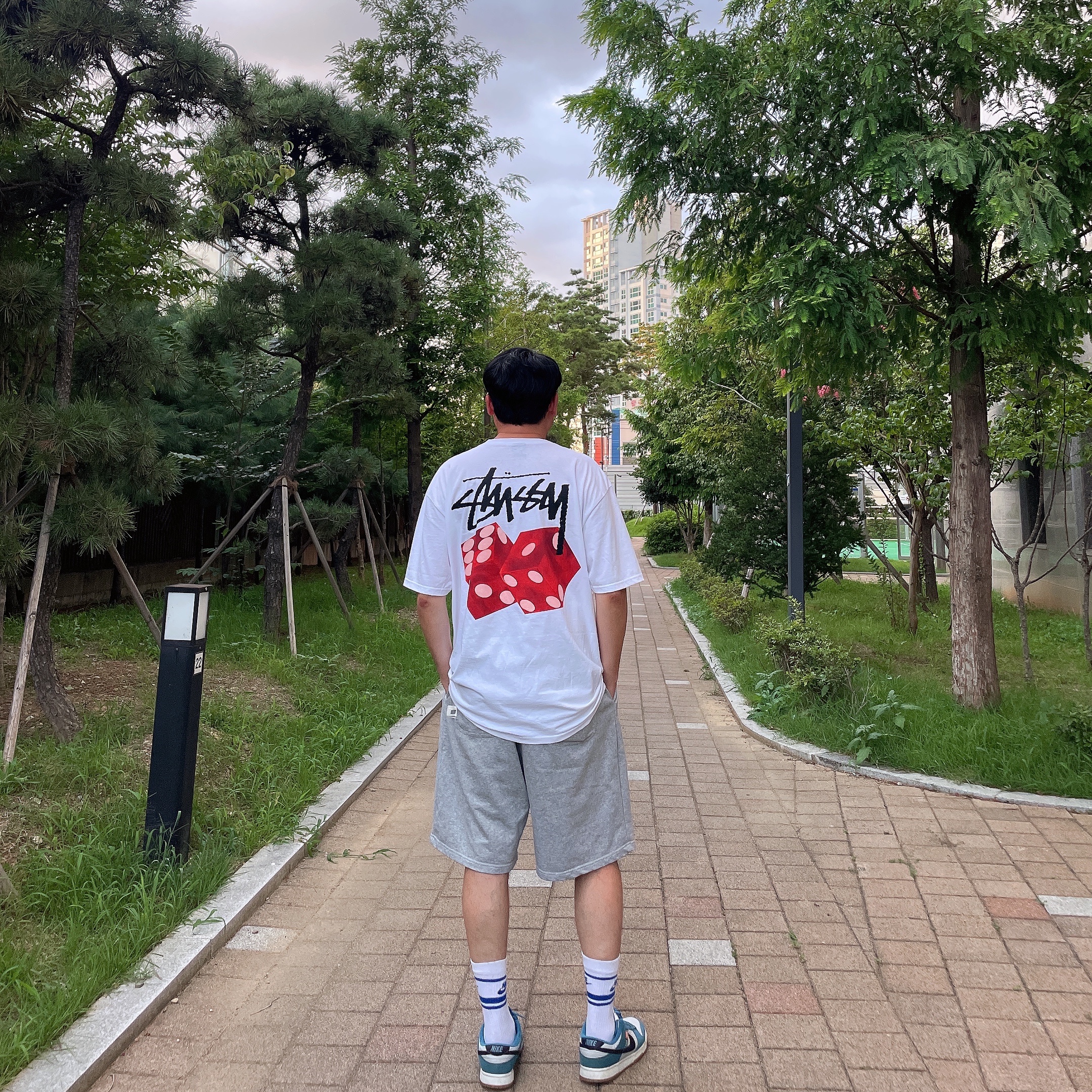 Stussy Diced Out T-Shirt White, Stussy Basic Stussy T-Shirt White 2023 착용 스타일 - 2
