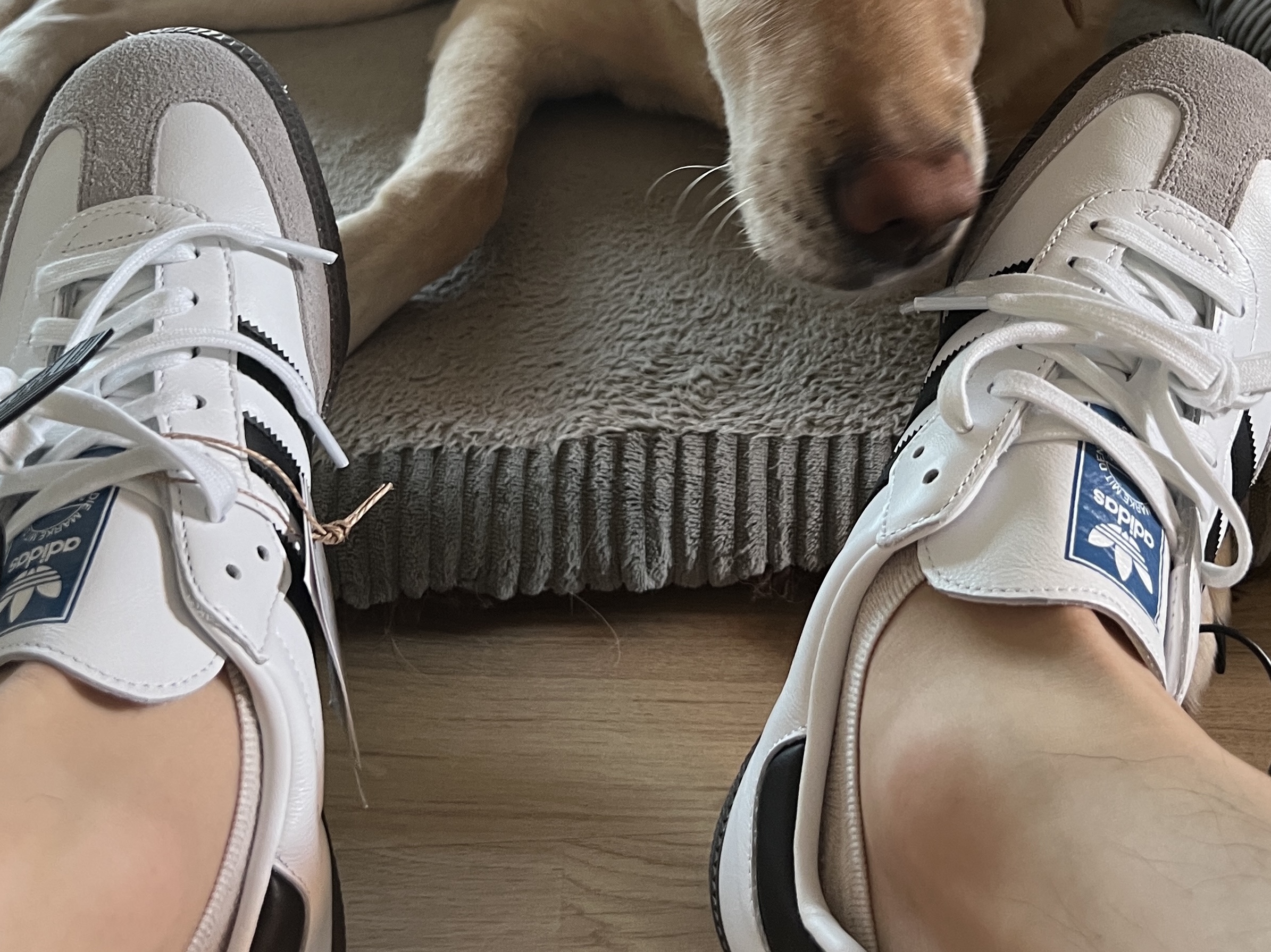 Adidas Samba OG Cloud White 착용 스타일