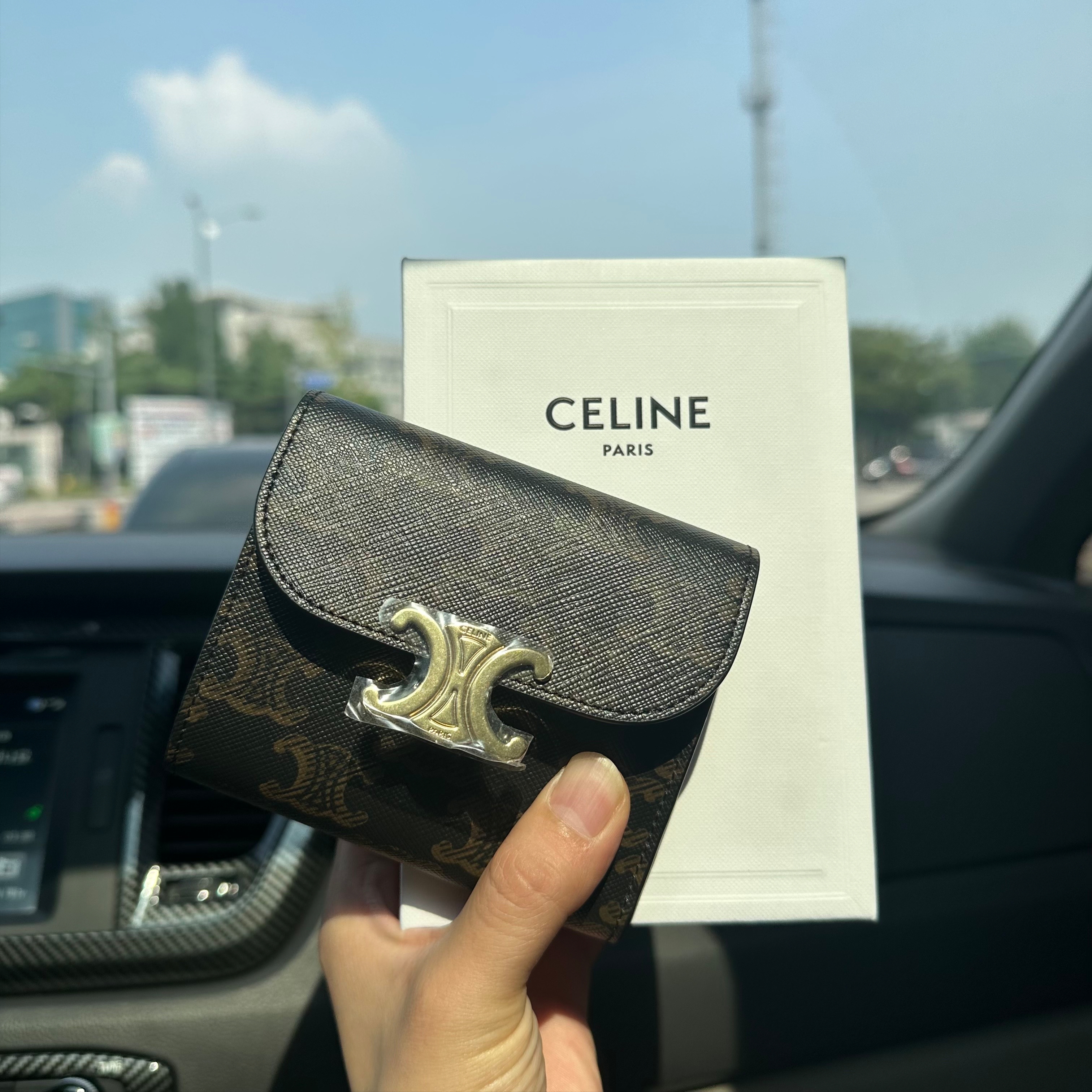 Celine Small Wallet Triomphe in Triomphe Canvas Tan 착용 스타일