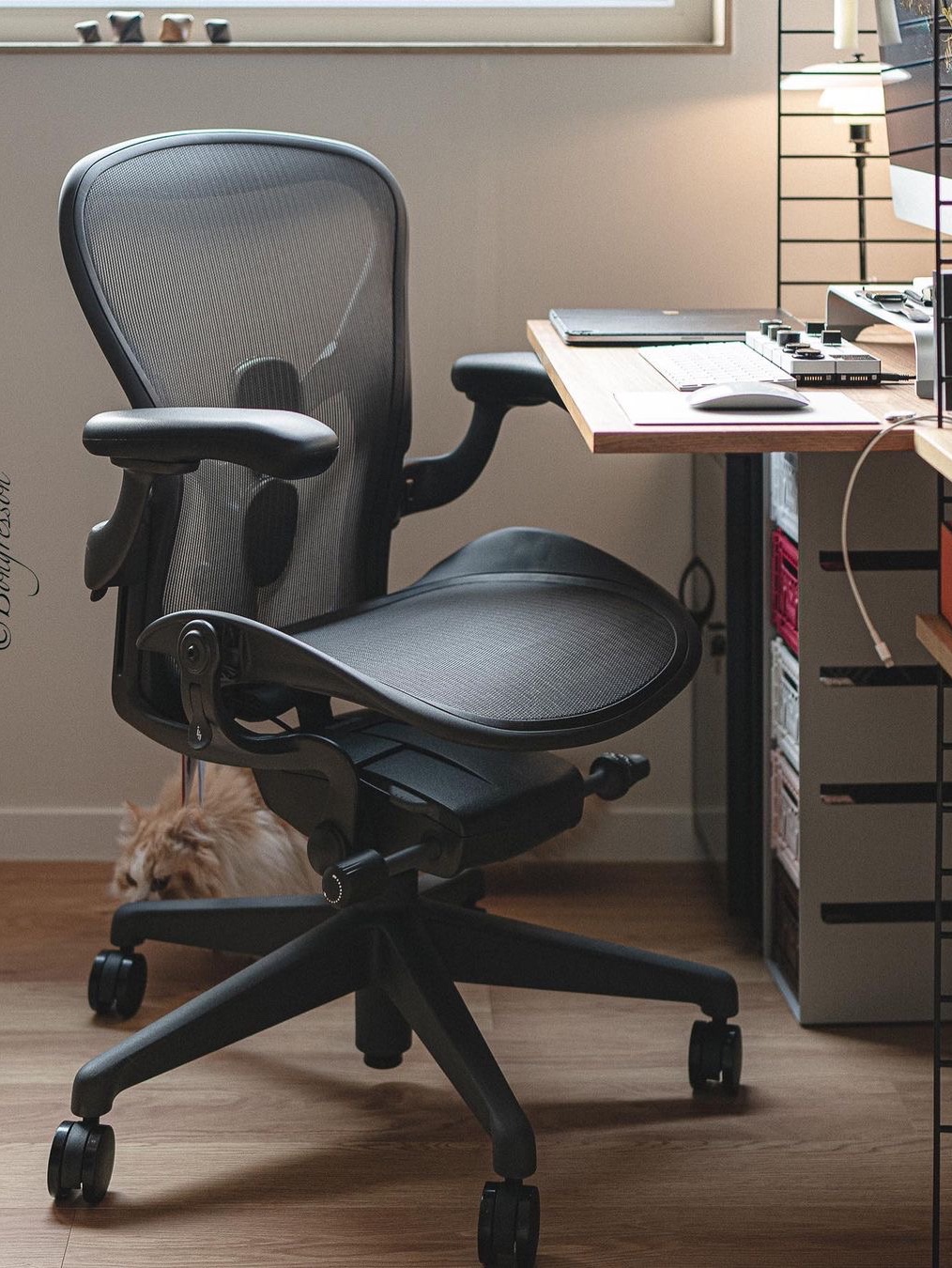 [헤드레스트 증정][20% 쿠폰] Herman Miller New Aeron Chair Full Option Graphite 착용 스타일