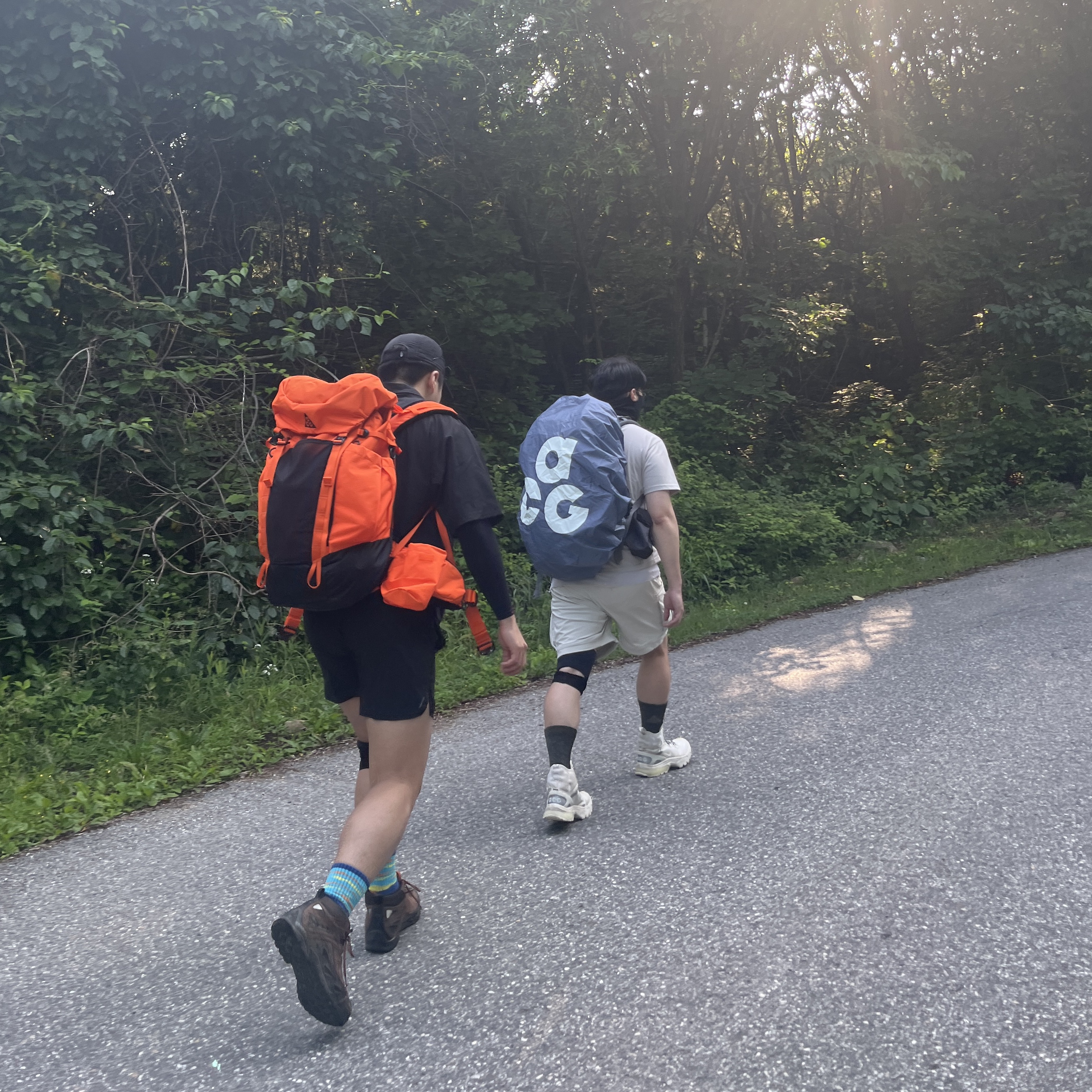 ์์
์ด๋ฏธ์ง