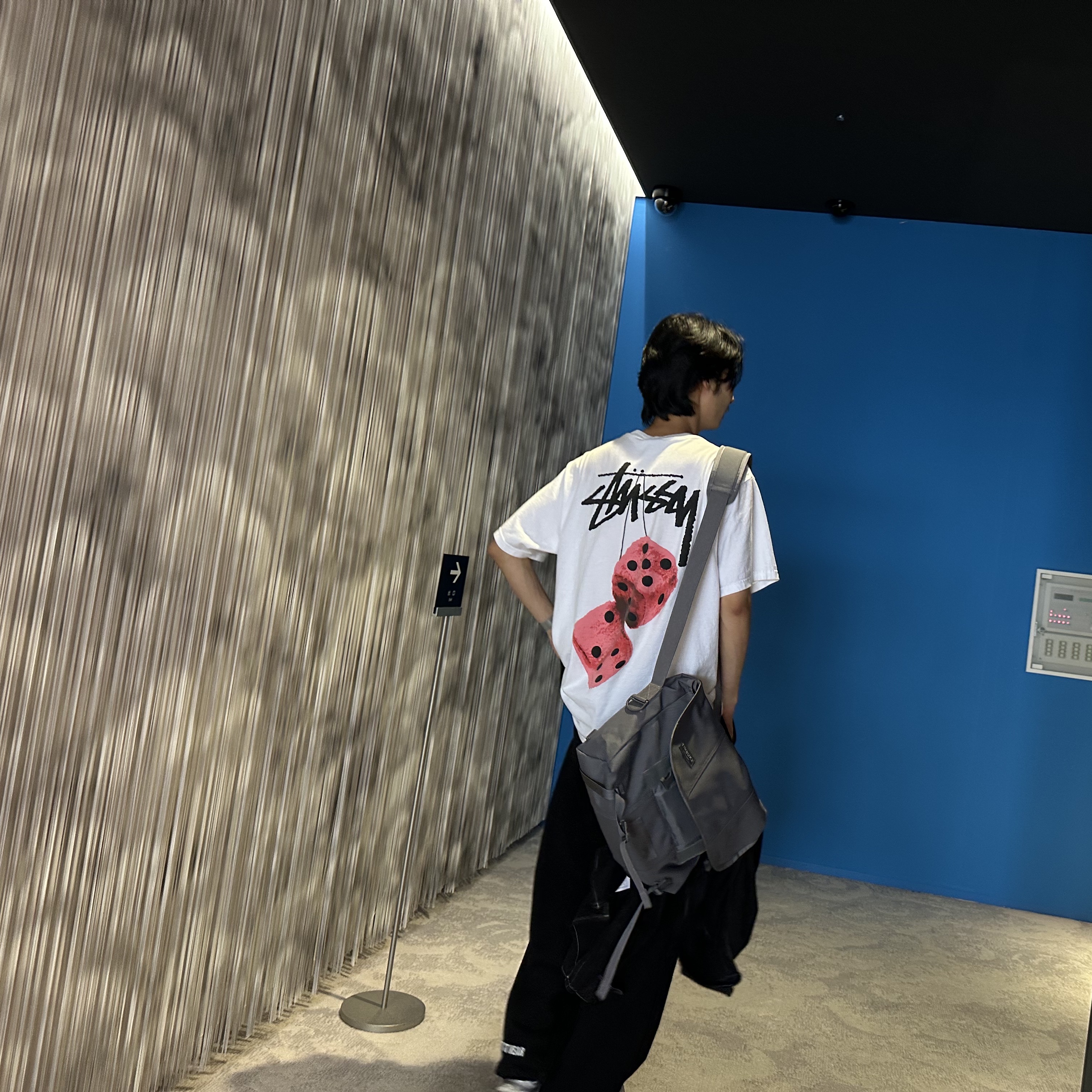 Stussy Fuzzy Dice T-Shirt White 착용 스타일
