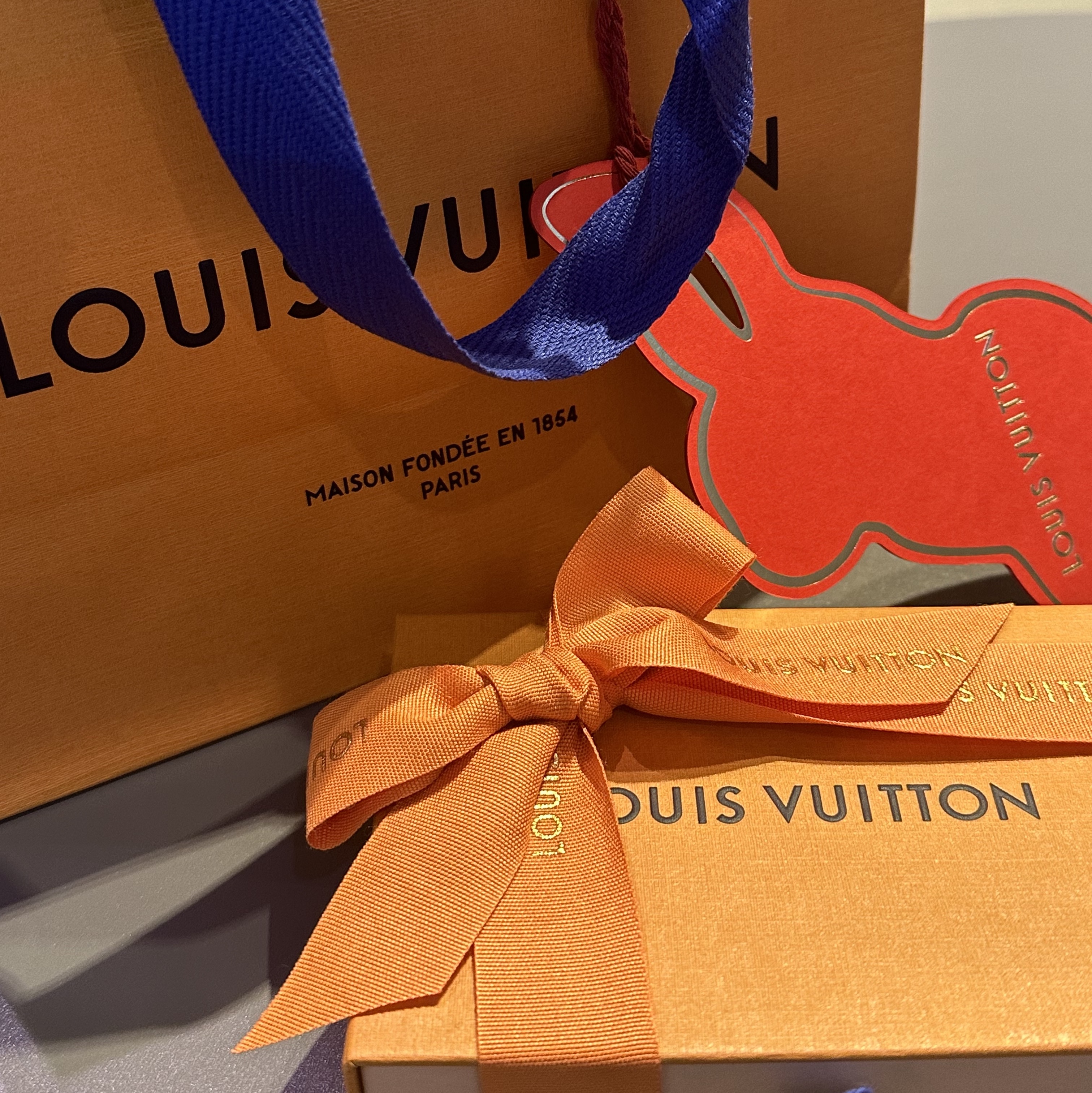 Louis Vuitton Pocket Organizer Monogram Eclipse 착용 스타일 - 2