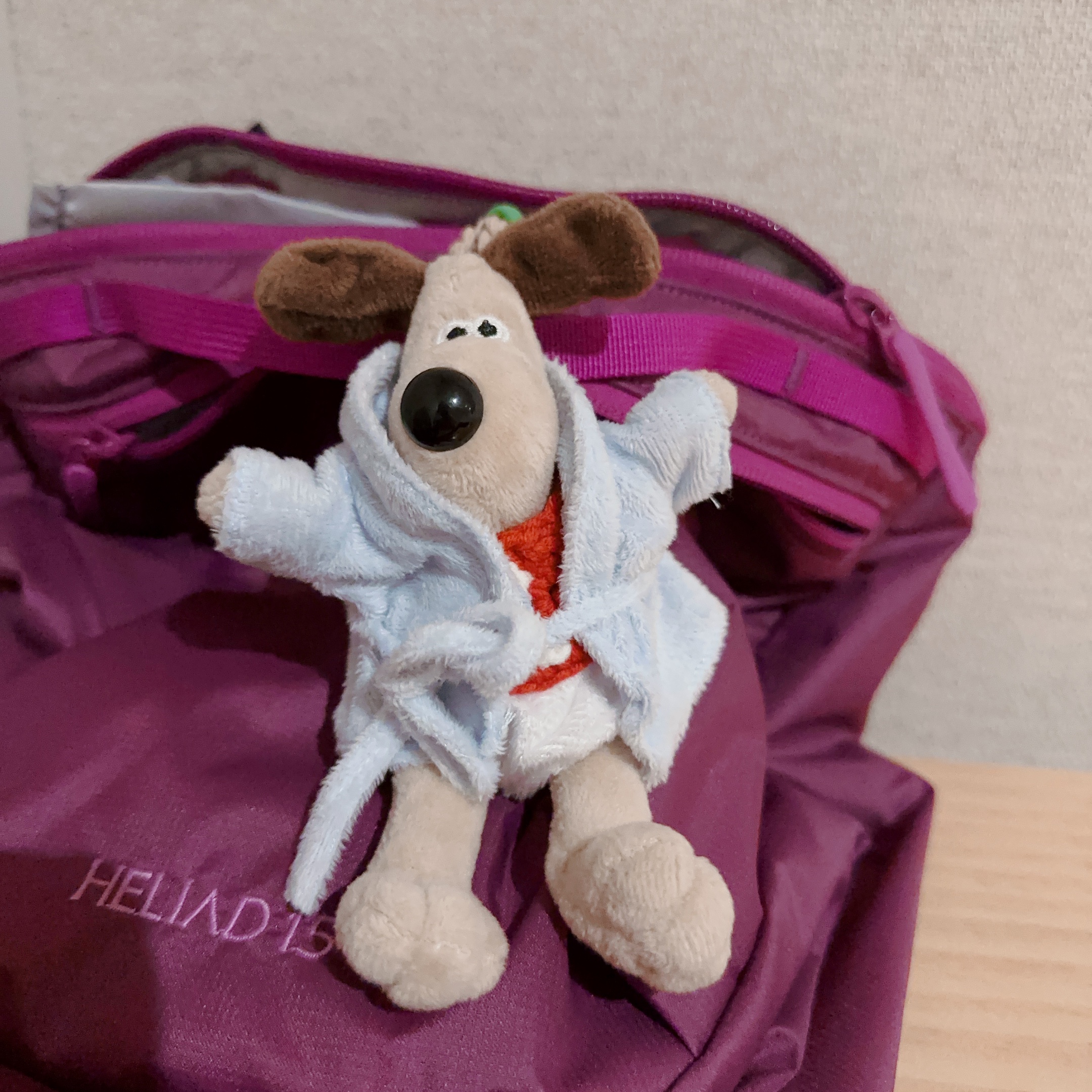Arc'teryx Heliad 15 Backpack Groovie 착용 스타일