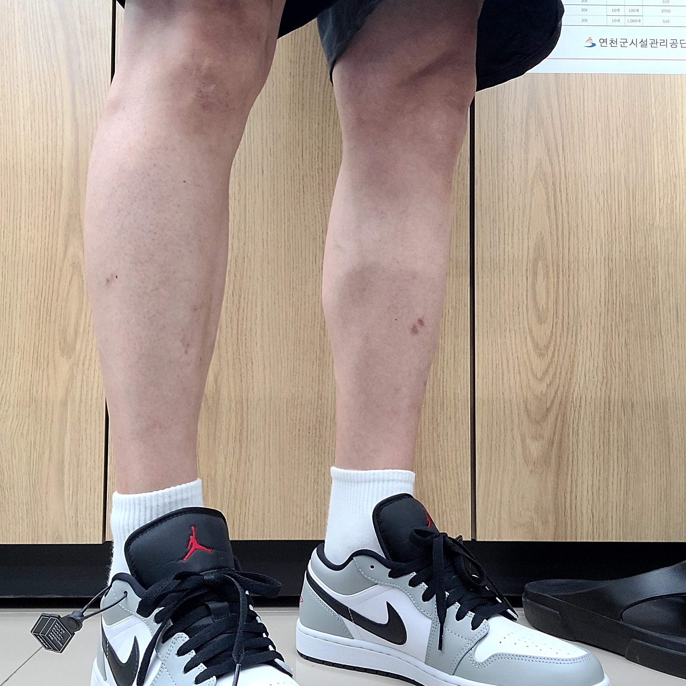 Jordan 1 Low Light Smoke Grey 착용 스타일