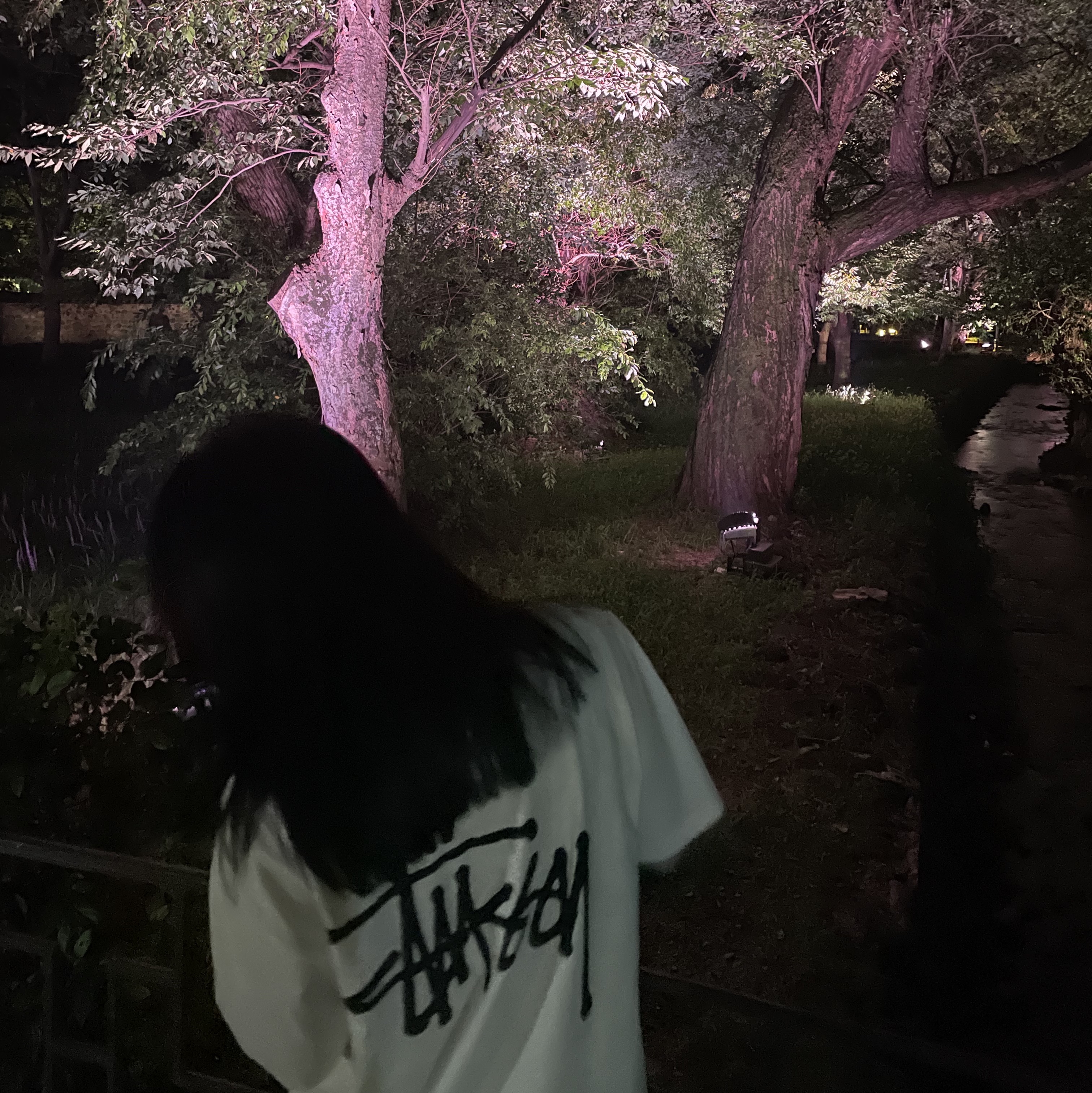 Stussy Basic Stussy T-Shirt White 2023 착용 스타일