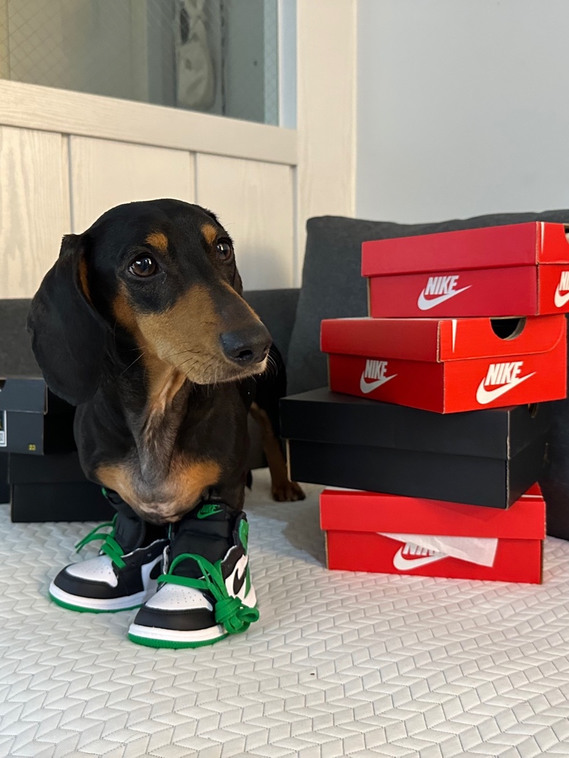 (TD) Jordan 1 Retro High OG Black and Lucky Green, (TD) Jordan 1 Retro High OG University Blue 착용 스타일 - 3