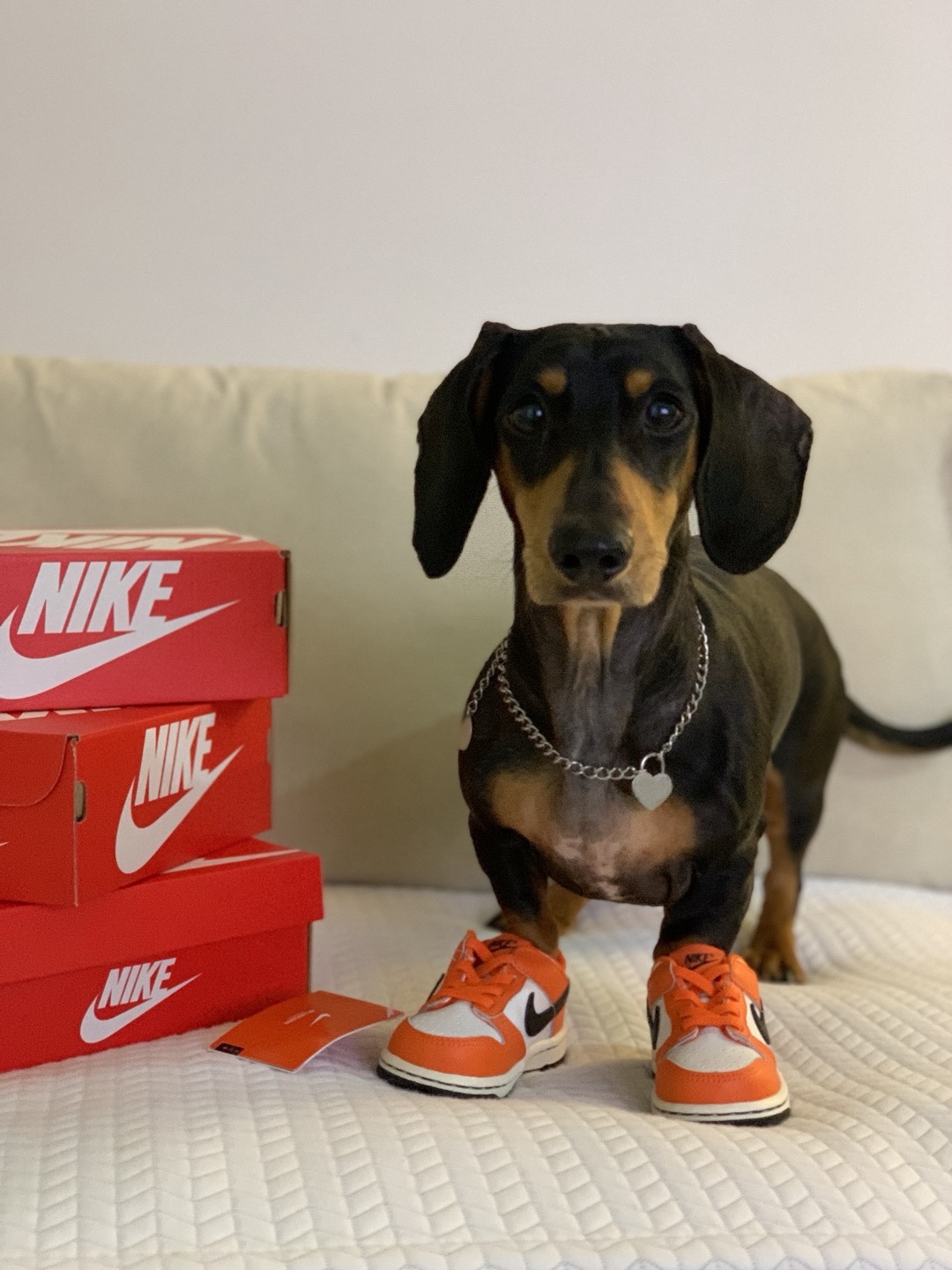 (TD) Jordan 1 Retro High OG Black and Lucky Green, (TD) Jordan 1 Retro High OG University Blue 착용 스타일 - 5