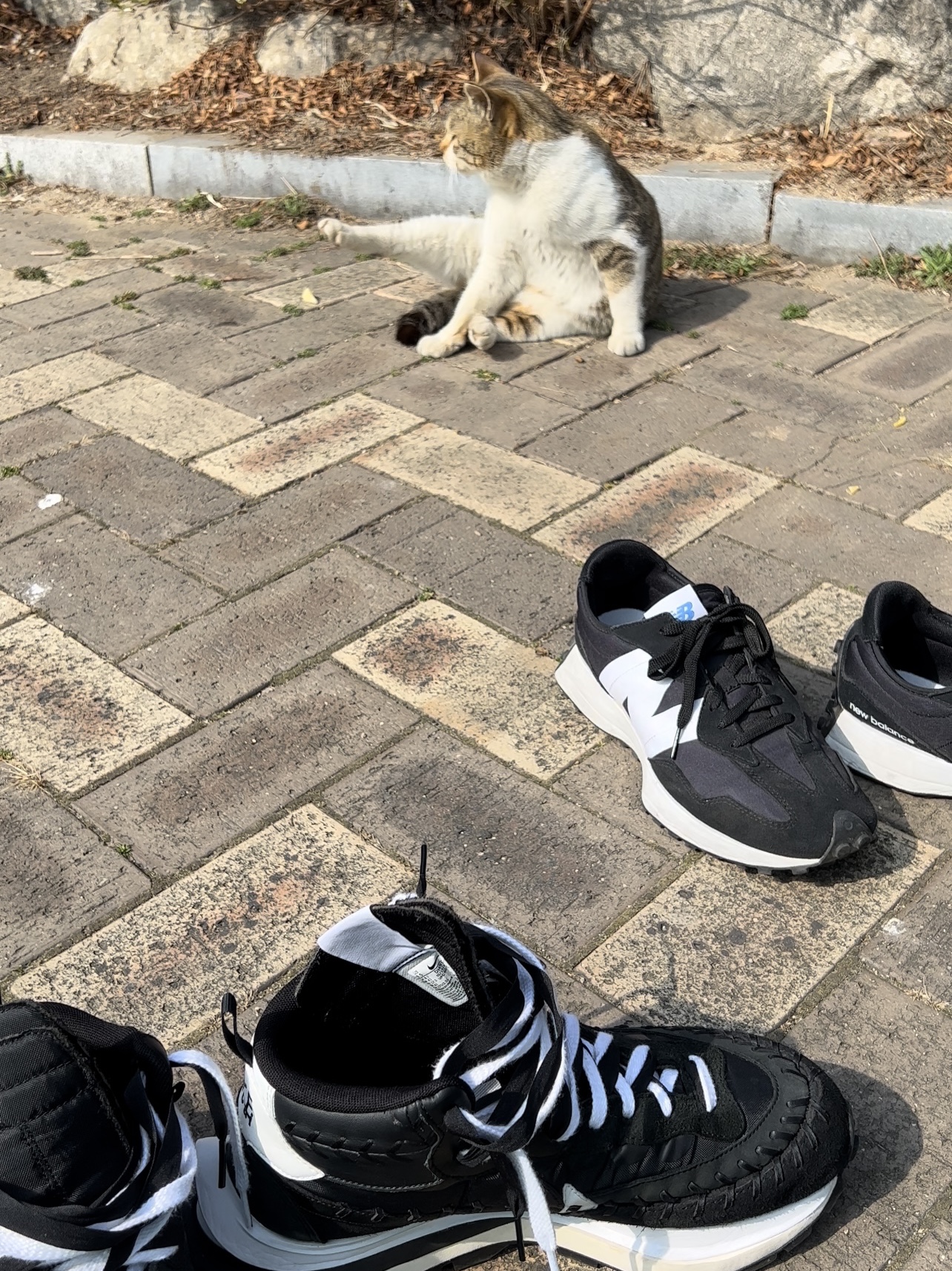 Nike x Sacai x Jean Paul Gaultier VaporWaffle Black White, New Balance 327 Black 착용 스타일 - 3
