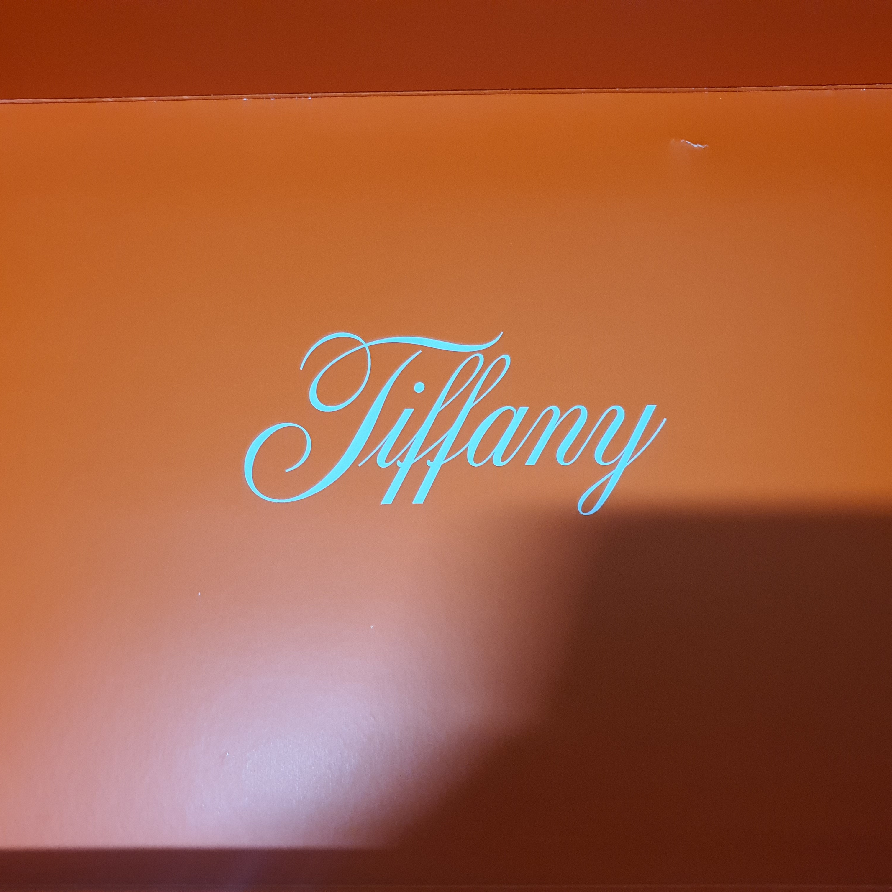 Nike x Tiffany & Co. Air Force 1 Low SP 1837 착용 스타일 - 2