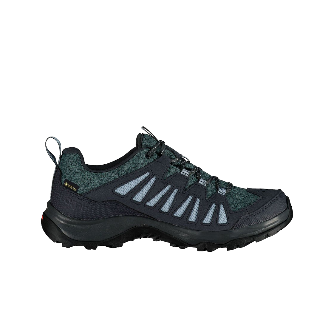 (W) 살로몬 EOS 고어텍스 스토미 웨더((W) Salomon EOS GTX Stormy Weather) - 1