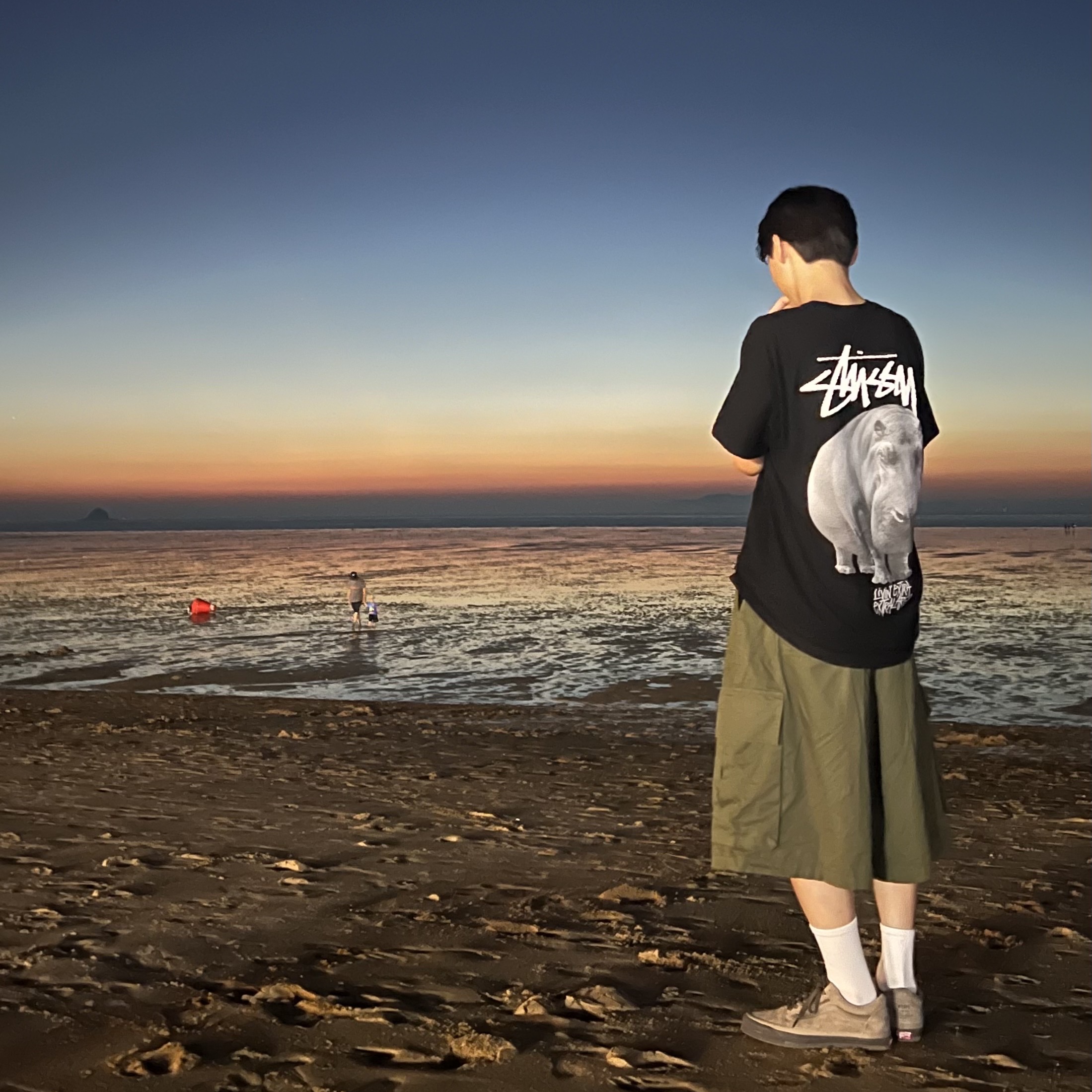 Vans Vault x WTAPS OG Old Skool LX Coyote, Stussy Livin' Large T-Shirt Black 착용 스타일