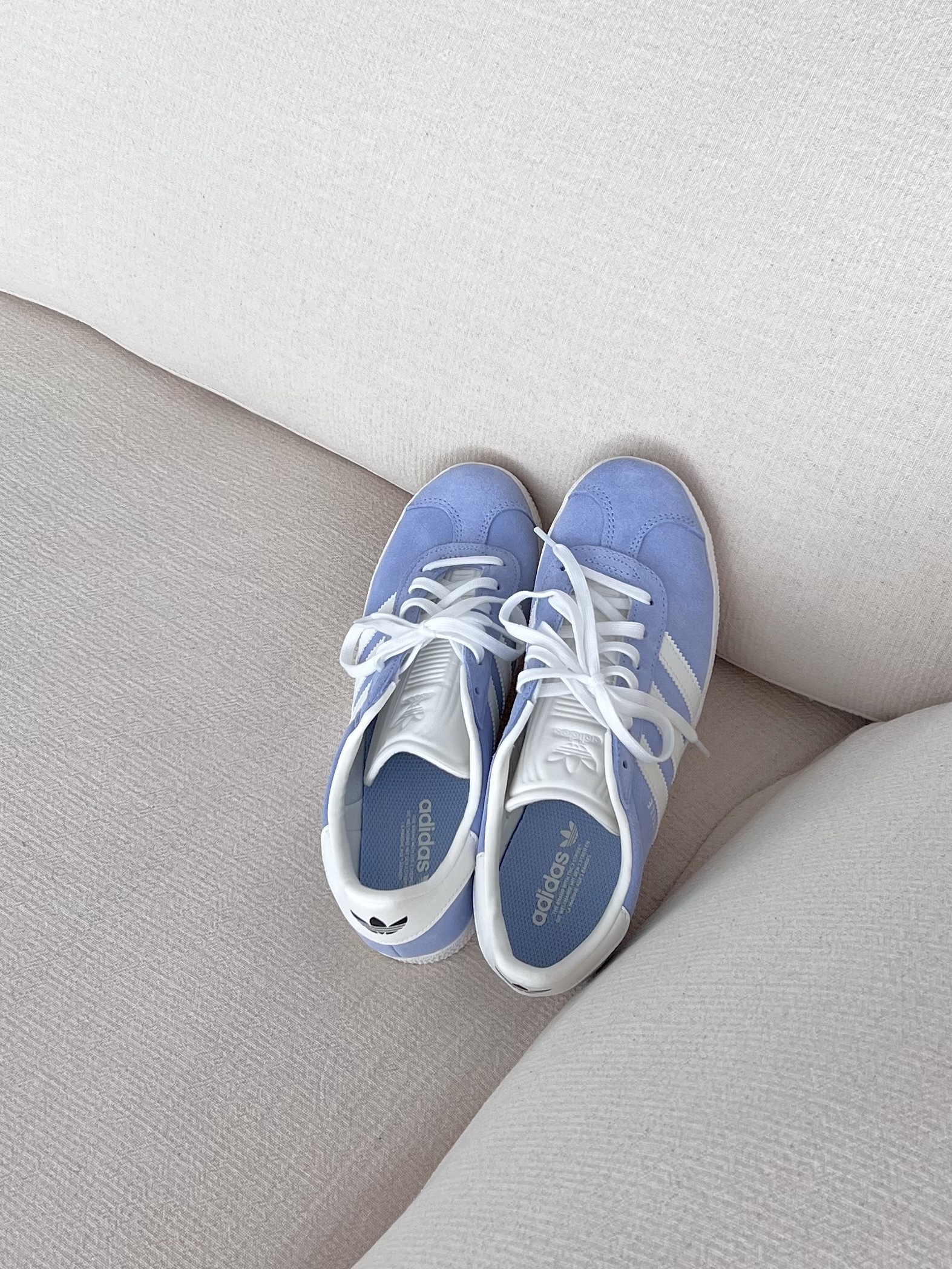 (J) Adidas Gazelle Blue Dawn 착용 스타일