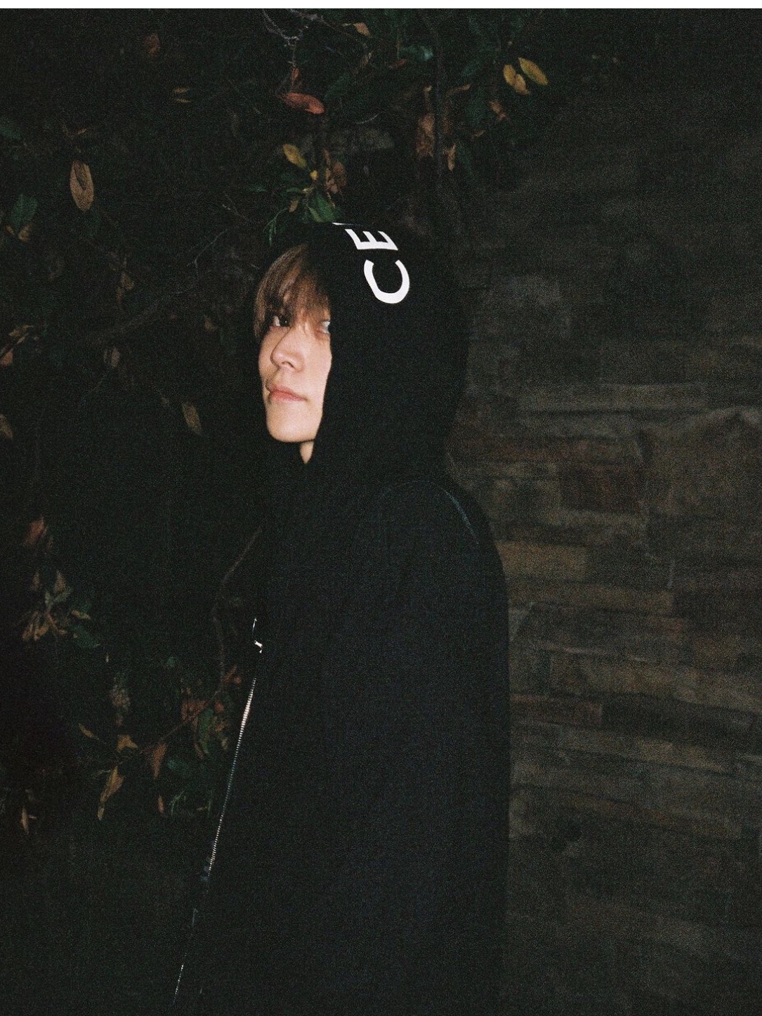 Celine Loose Zipped Hooded Sweatshirt in Cotton Fleece with Celine Print Black 착용 스타일 - 1