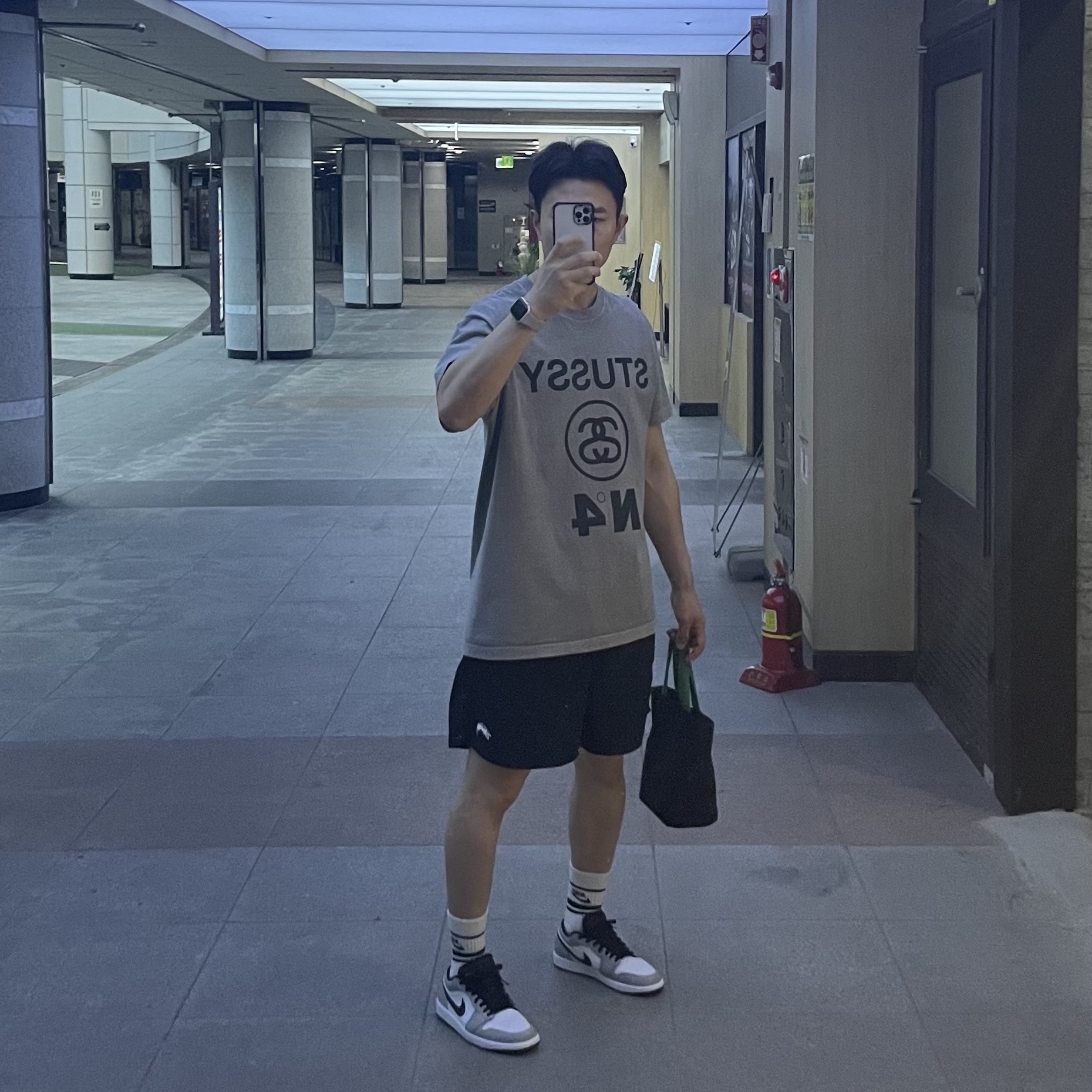 Jordan 1 Low Light Smoke Grey, Stussy Stock Water Shorts Black 착용 스타일