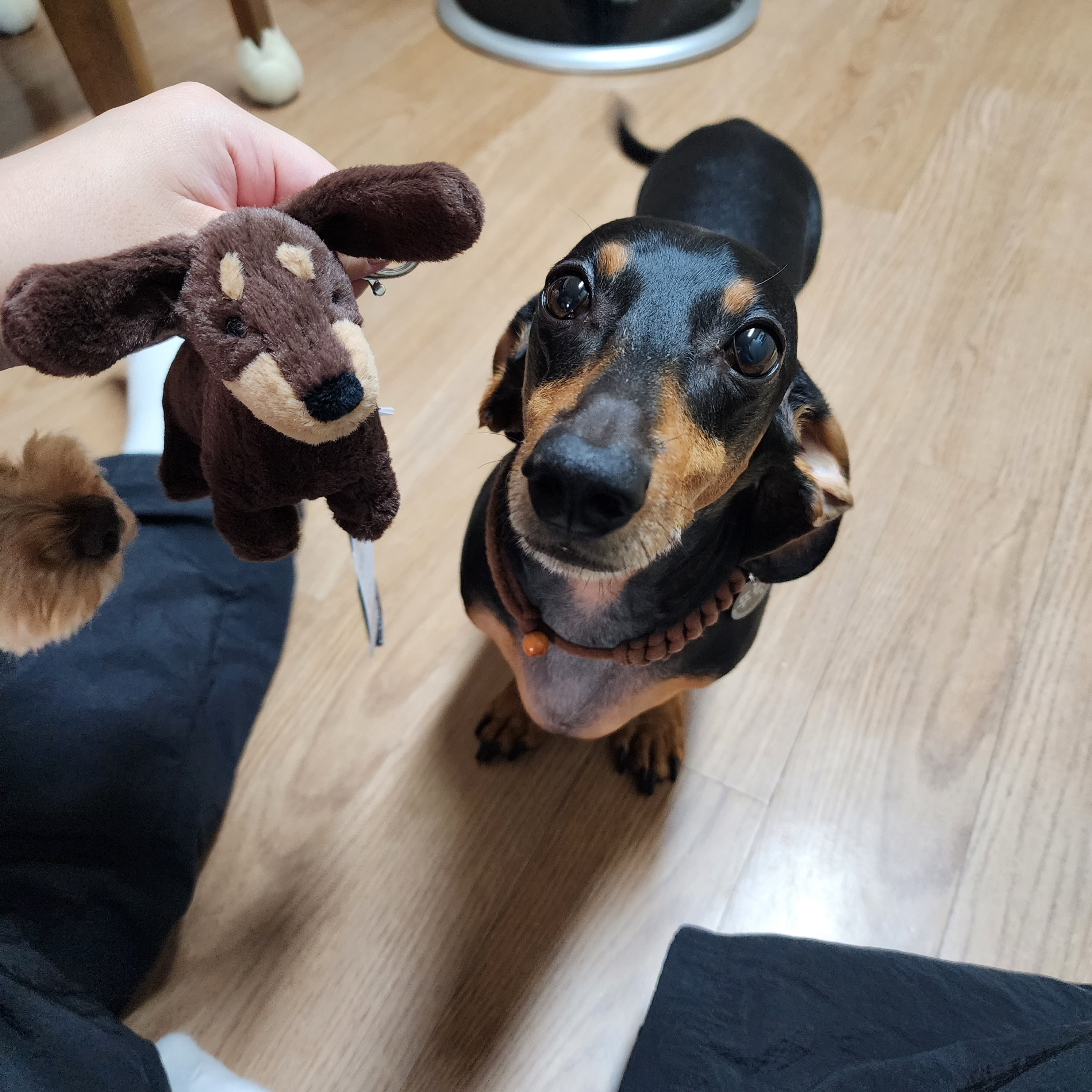 Jellycat Otto Sausage Dog Bag Charm Brown 착용 스타일 - 1