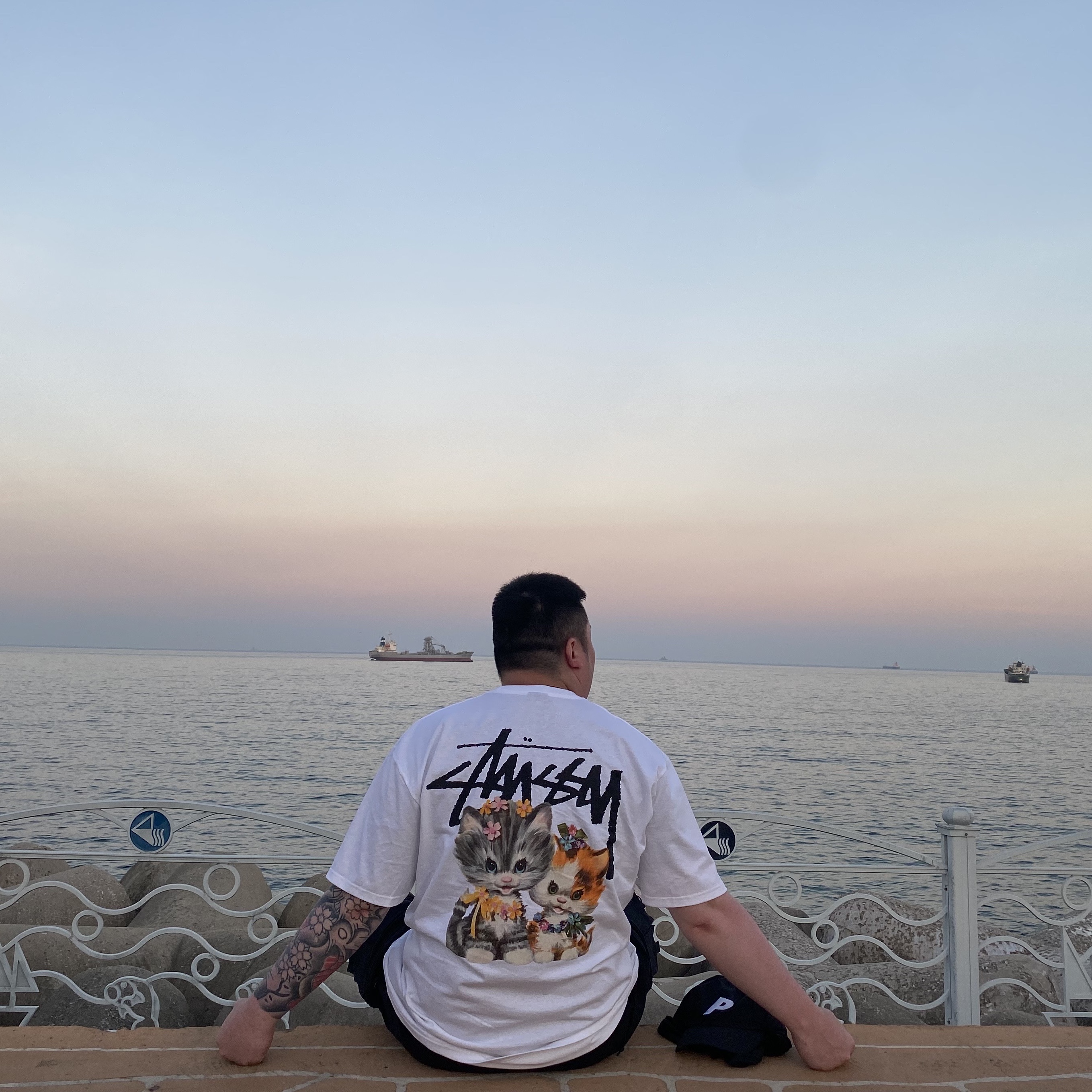 Stussy Kittens T-Shirt White, Nike ACG Snowgrass Cargo Shorts Black - Asia 착용 스타일 - 3