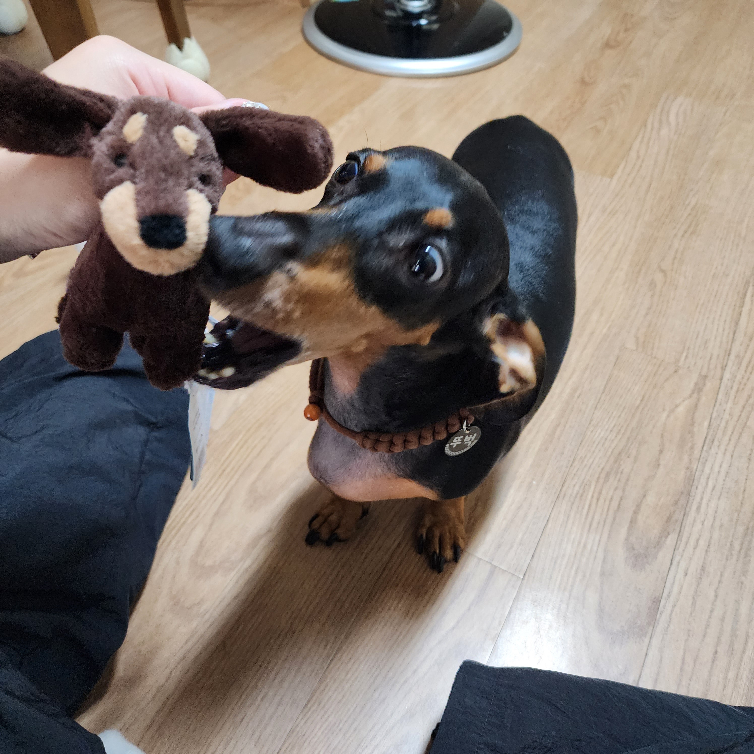 Jellycat Otto Sausage Dog Bag Charm Brown 착용 스타일 - 2