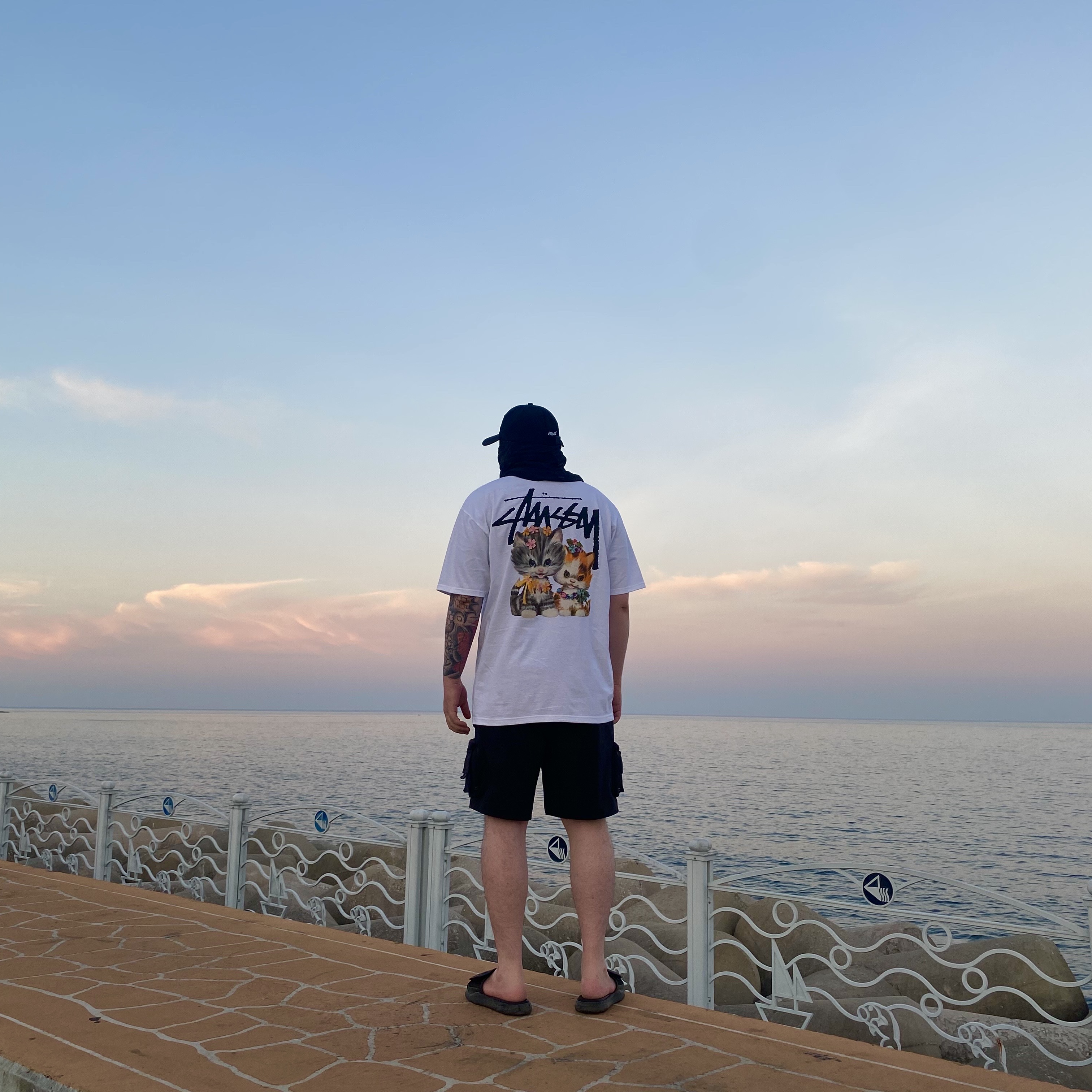 Stussy Kittens T-Shirt White, Nike ACG Snowgrass Cargo Shorts Black - Asia 착용 스타일 - 1