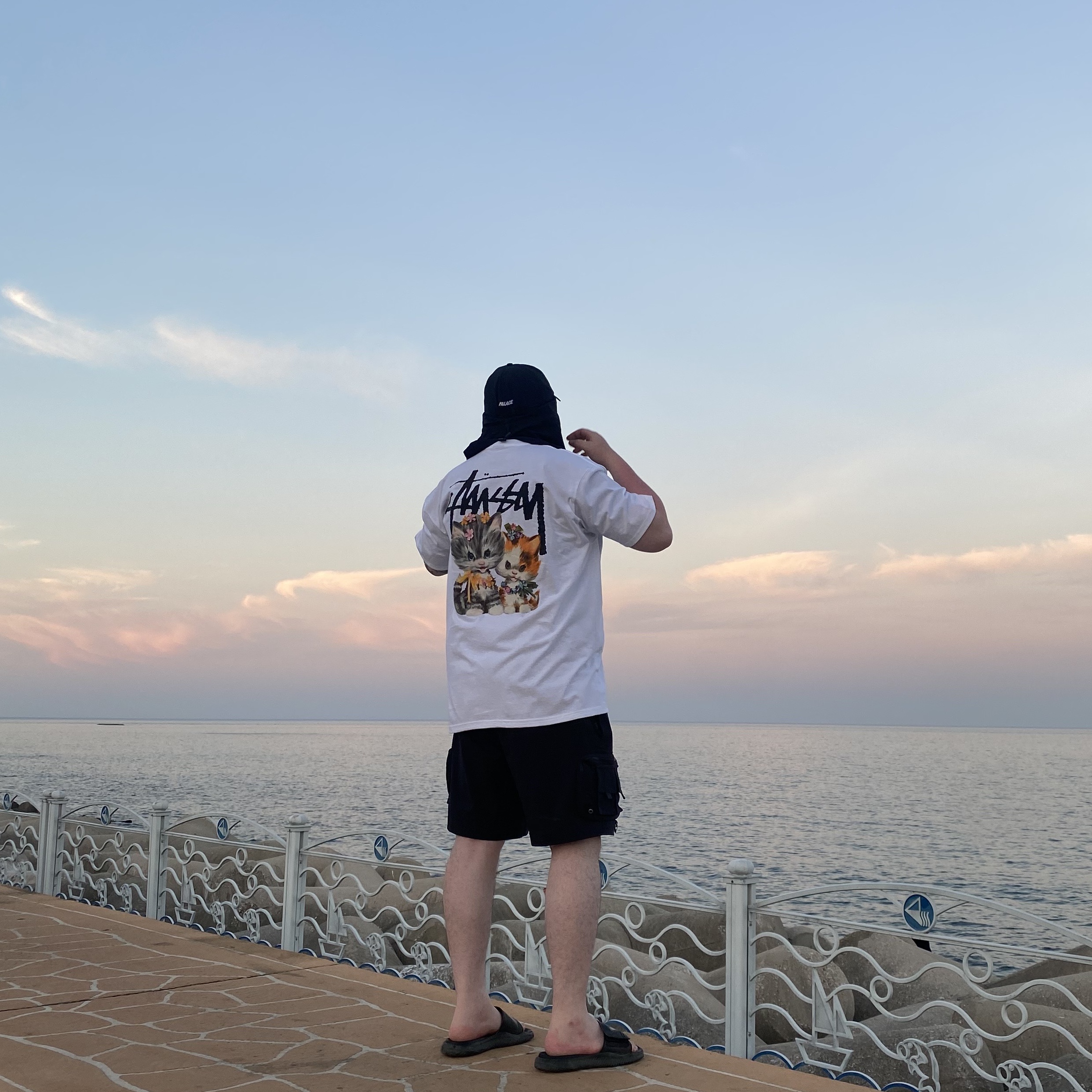Stussy Kittens T-Shirt White, Nike ACG Snowgrass Cargo Shorts Black - Asia 착용 스타일 - 2
