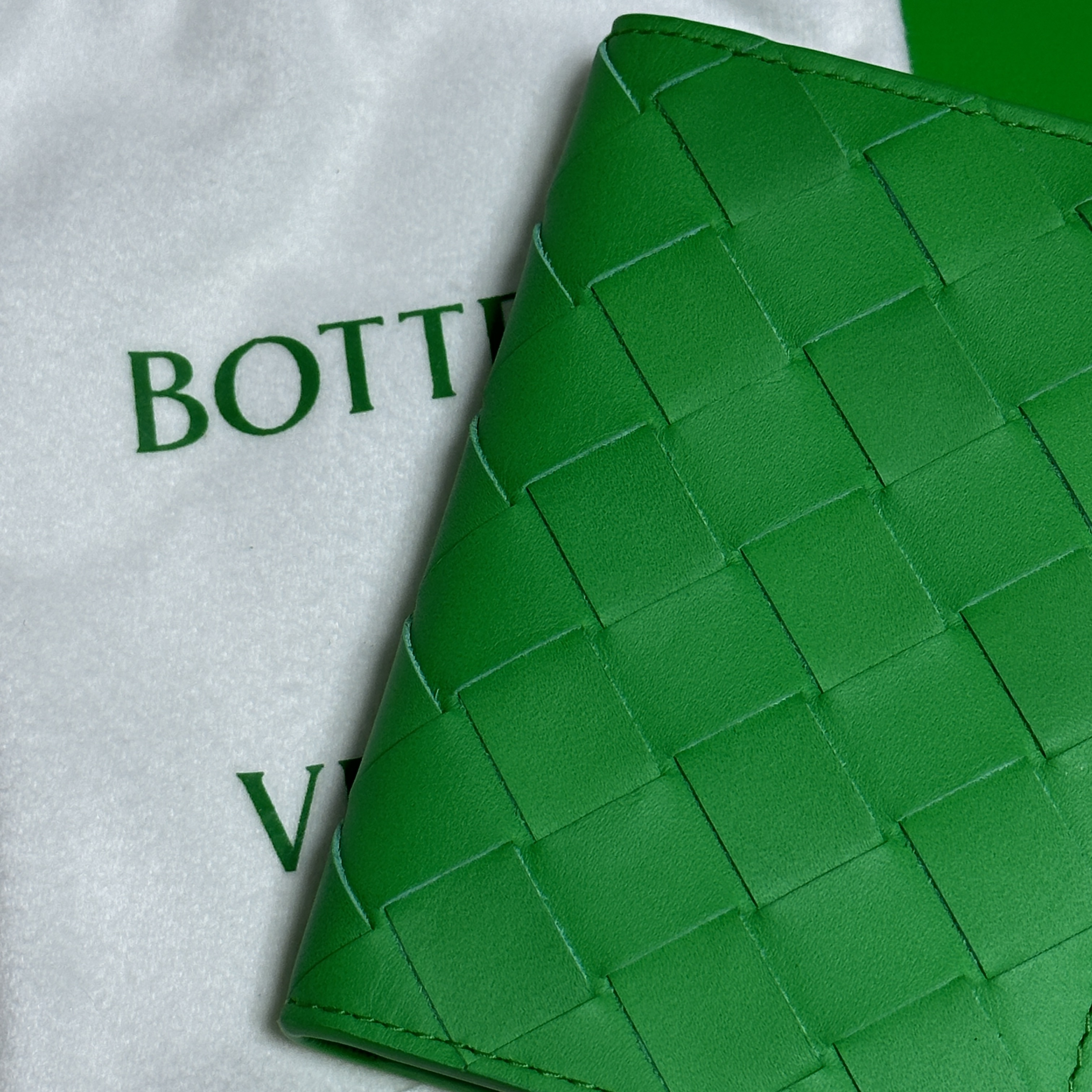 Bottega Veneta Flap Card Case Parakeet 착용 스타일
