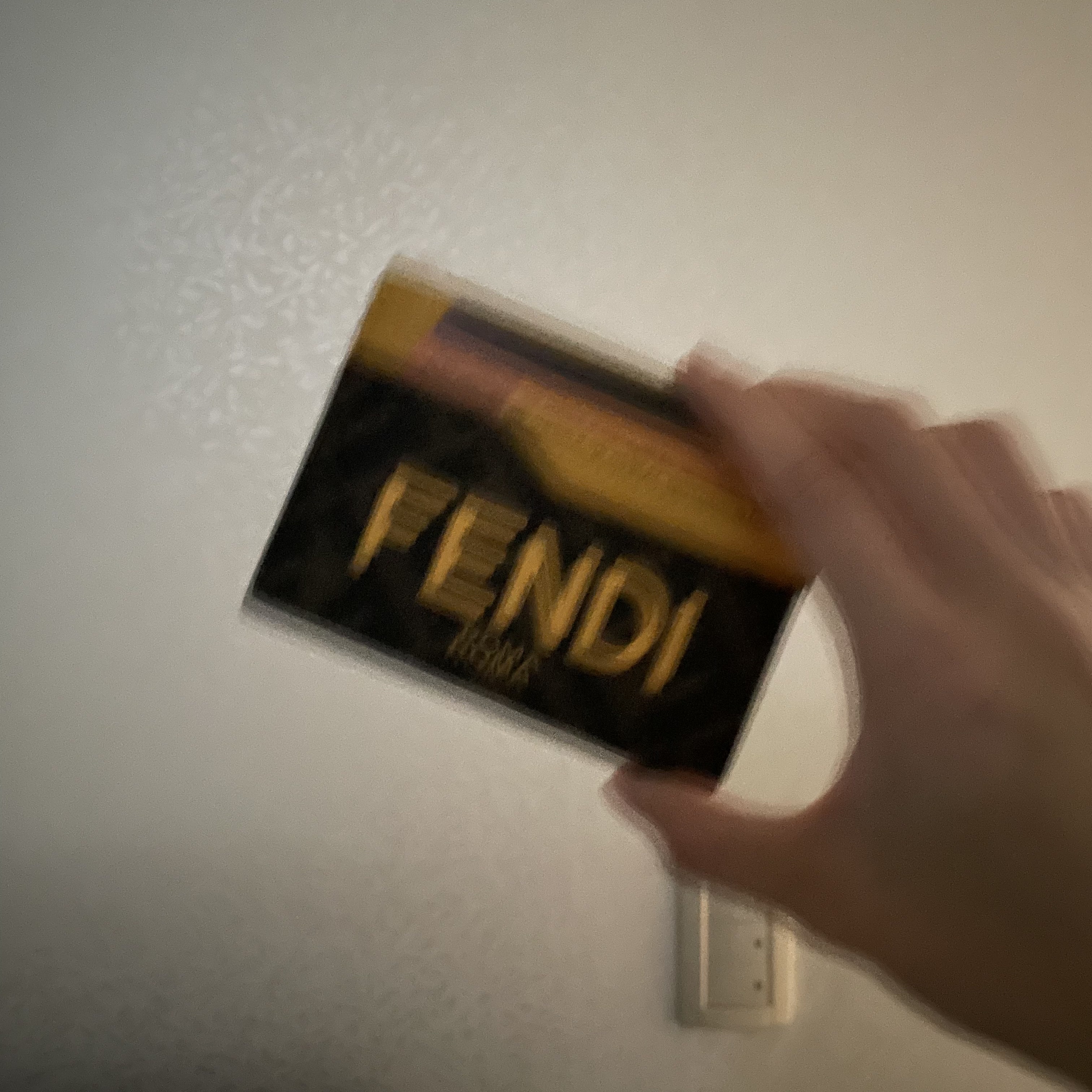 Fendi Fabric Card Holder Brown 착용 스타일