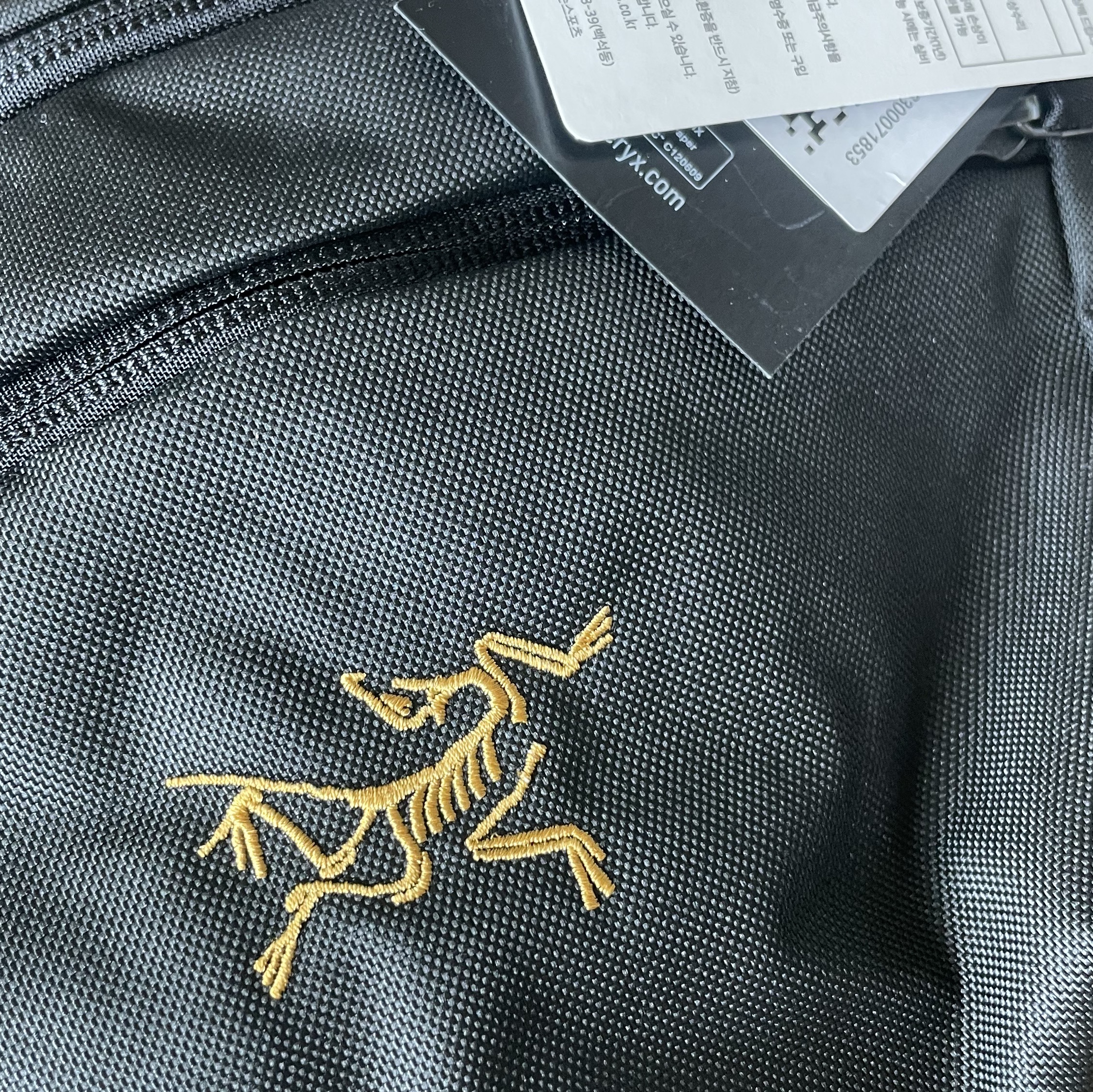 Arc'teryx Mantis 2 Waistpack 24K Black 착용 스타일
