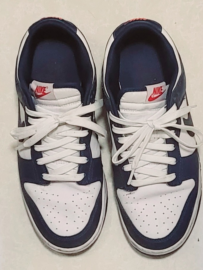 Nike Dunk Low Retro Valerian Blue 착용 스타일