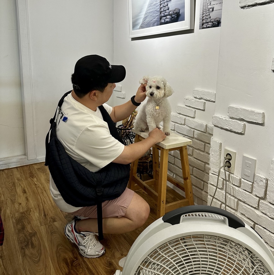 Supreme Washed Chino Twill Camp Cap Black, IAB Studio Woven Shorts Pink - The Hyundai Seoul Exclusive 착용 스타일