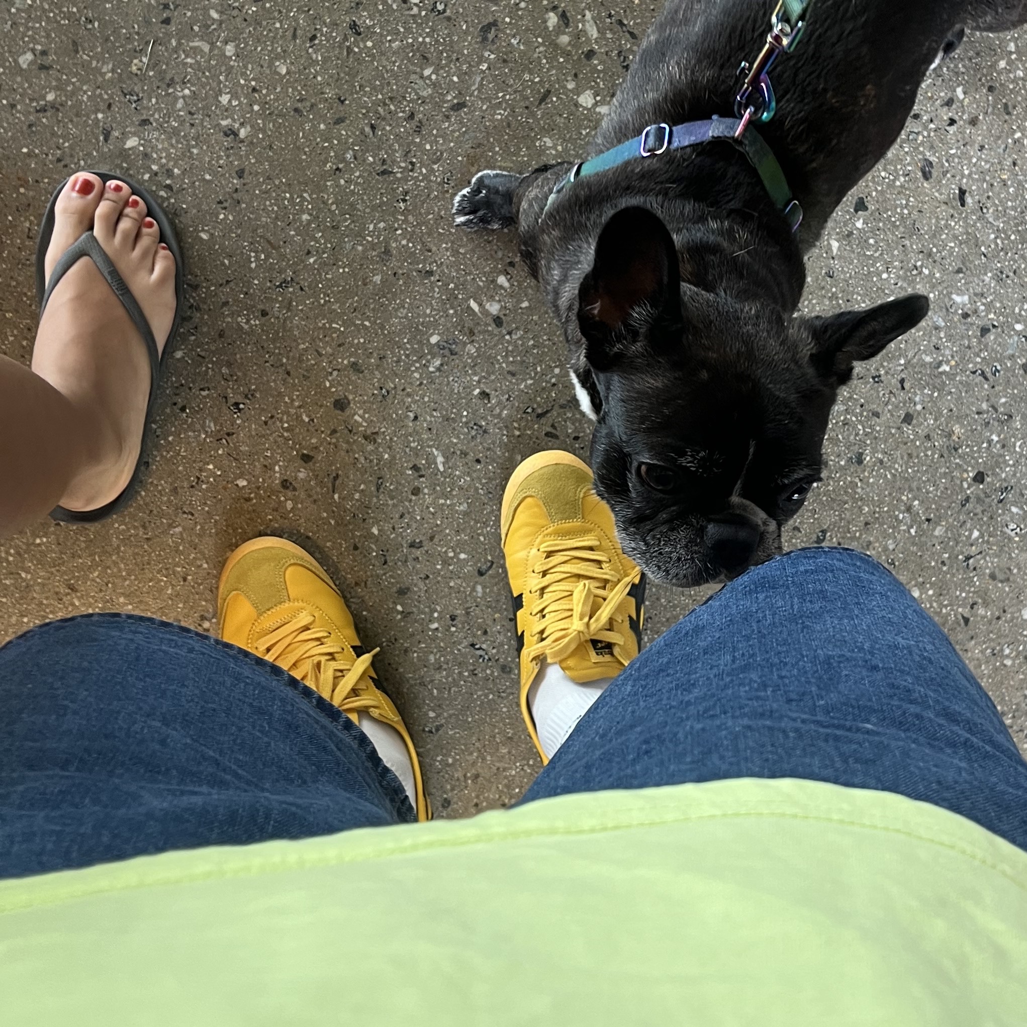 Onitsuka Tiger Mexico 66 Yellow Black 착용 스타일 - 1