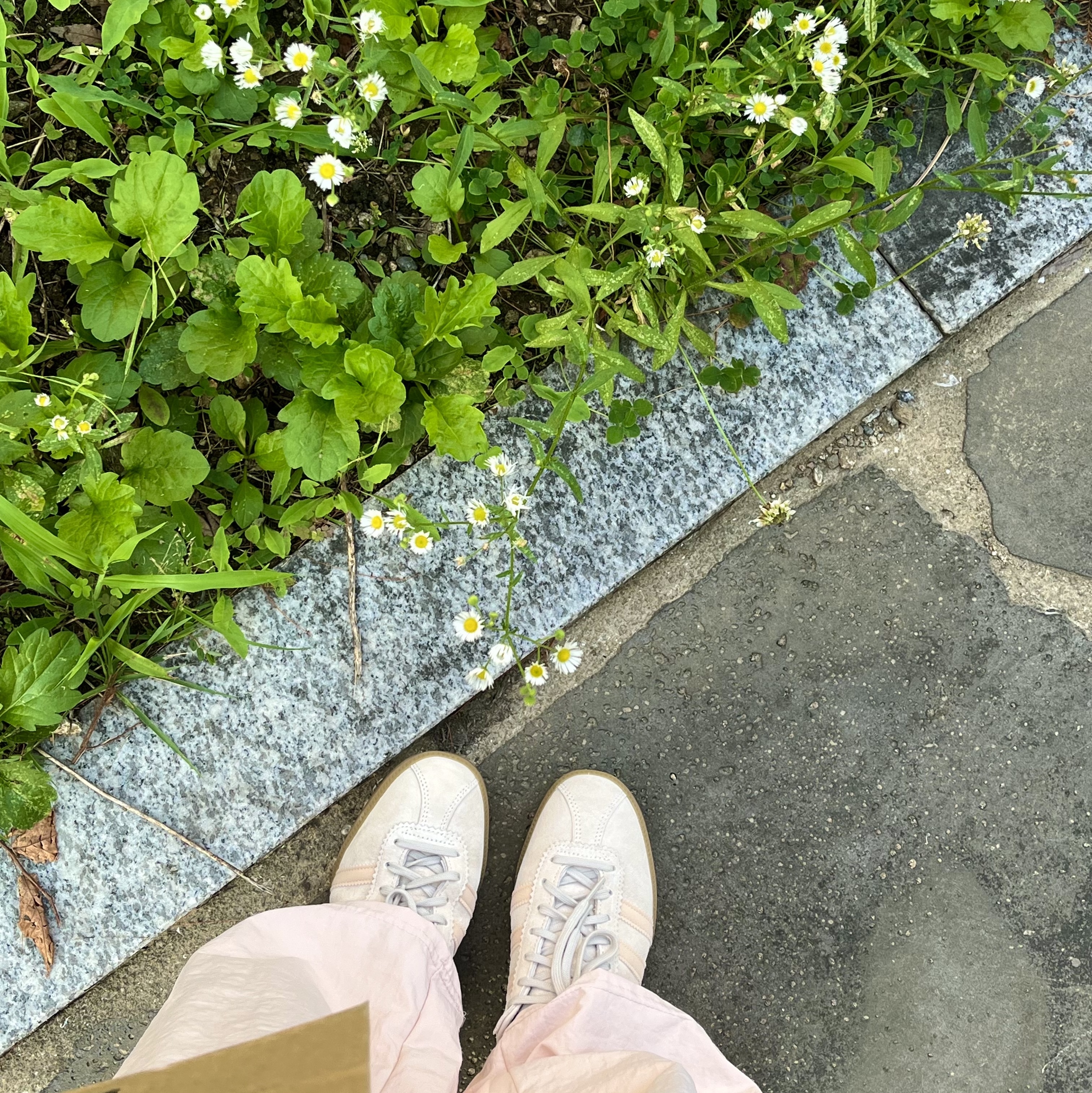 Adidas Bermuda Wonder White 착용 스타일