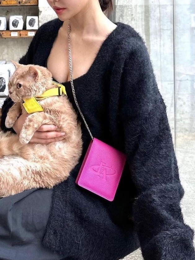 For Appeal Cigarette Wallet Bag Pink 착용 스타일 - 2