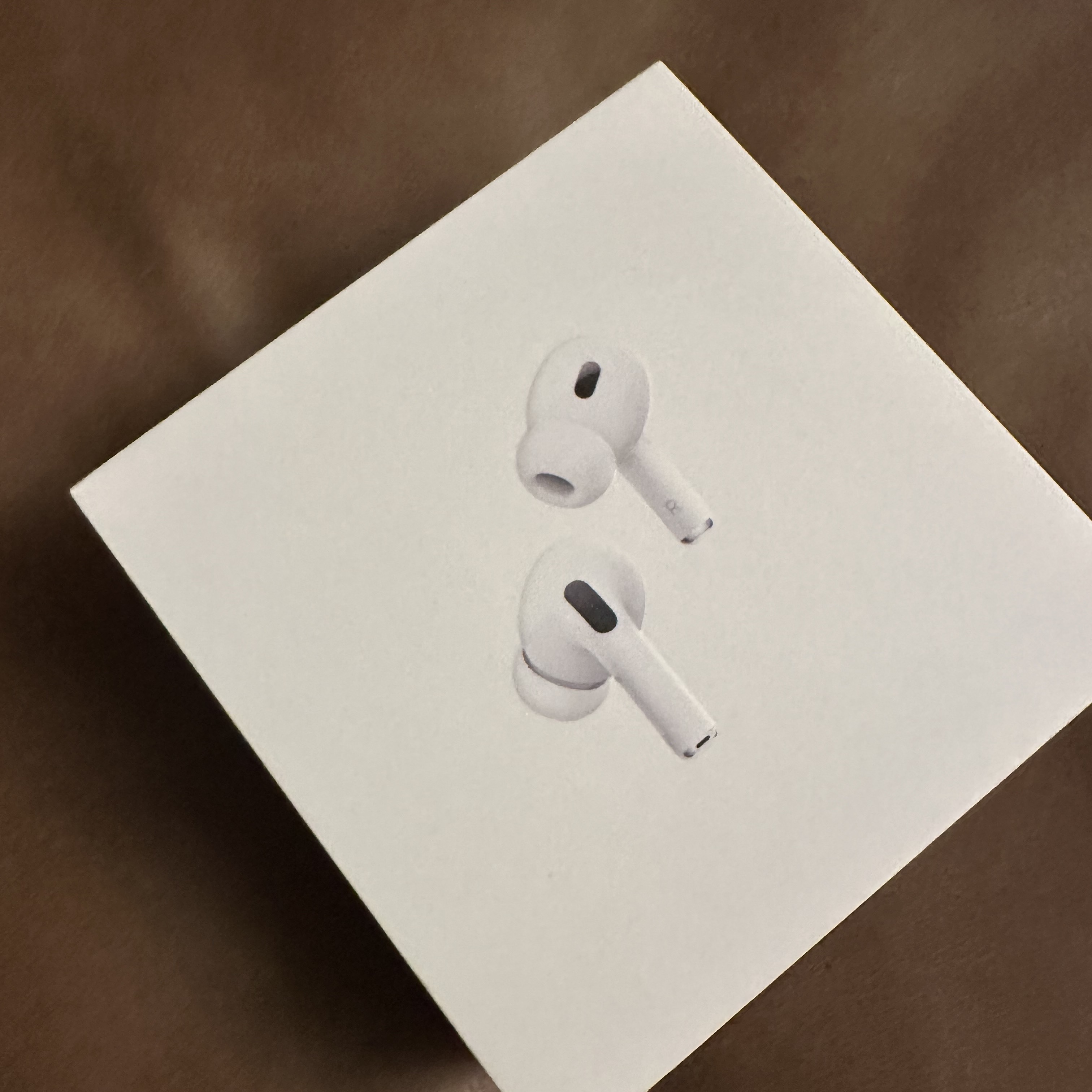 Apple AirPods Pro 2nd Gen (Korean Ver.) 착용 스타일