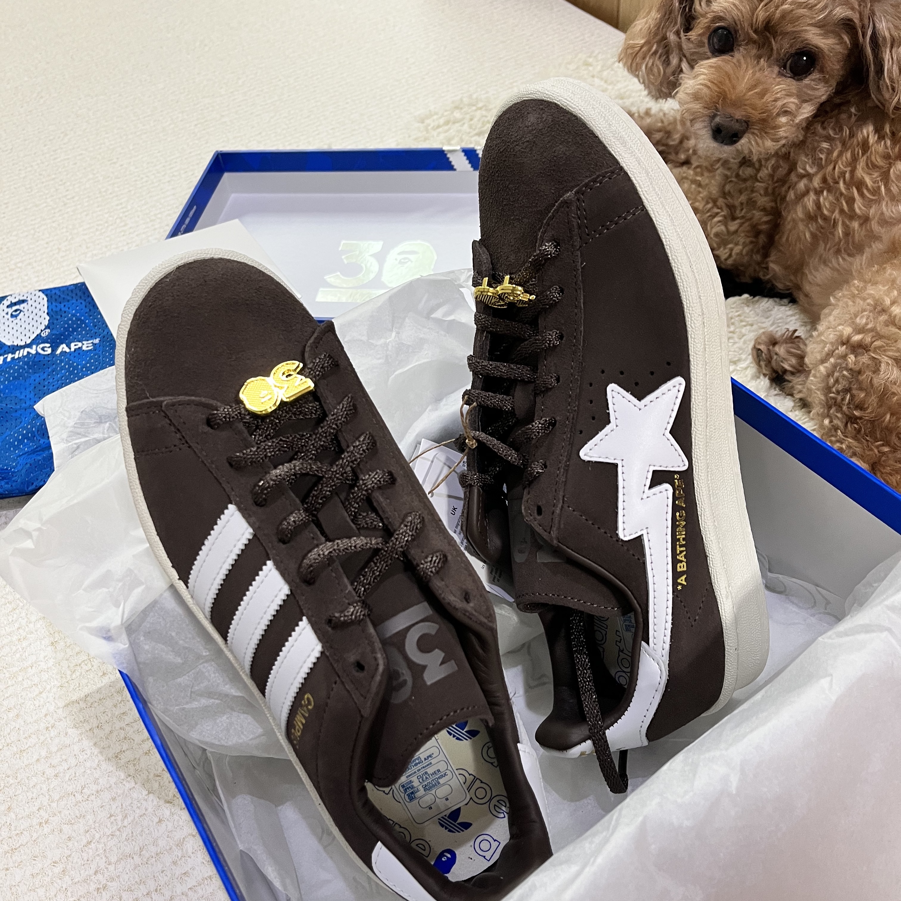 Adidas x BAPE Campus 80s Brown 착용 스타일