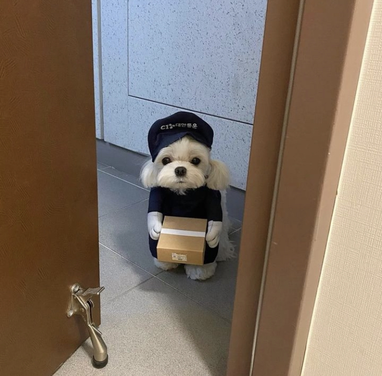 KREAM 프로필 이미지