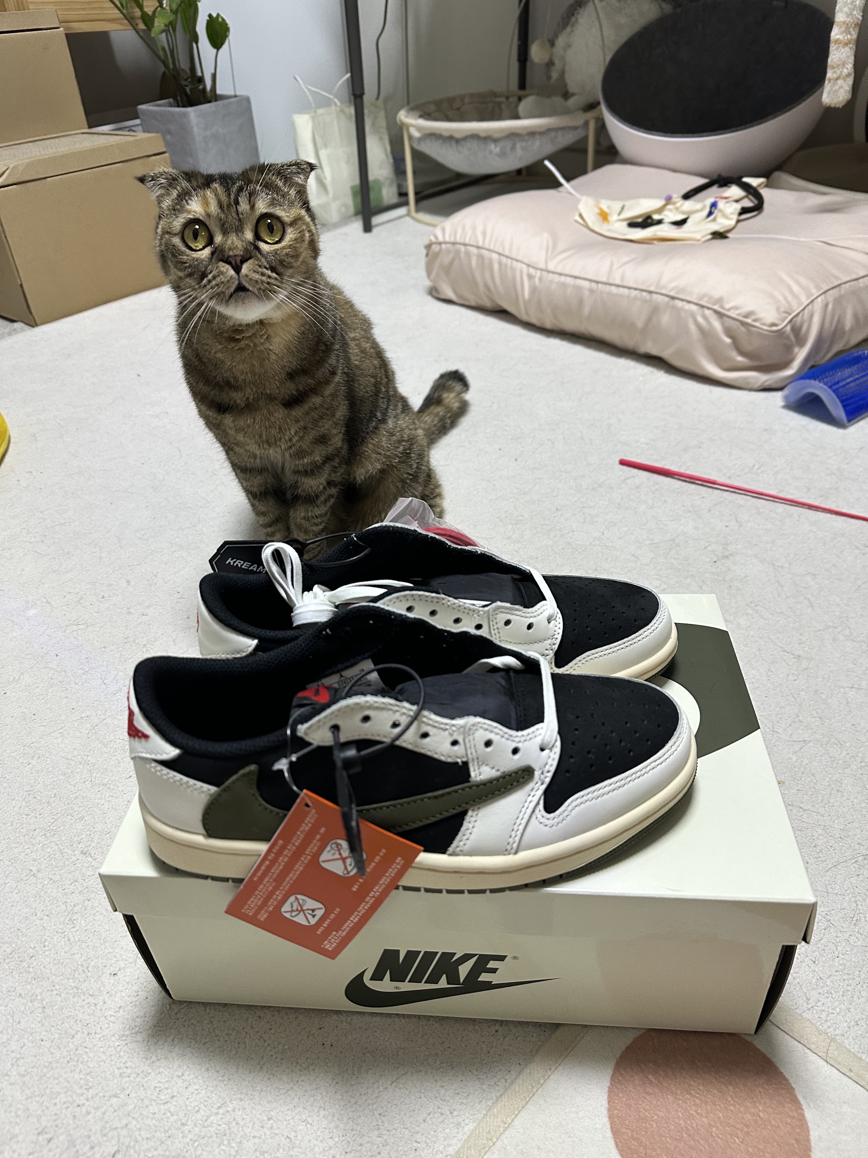 (W) Jordan 1 x Travis Scott Retro Low OG SP Medium Olive 착용 스타일