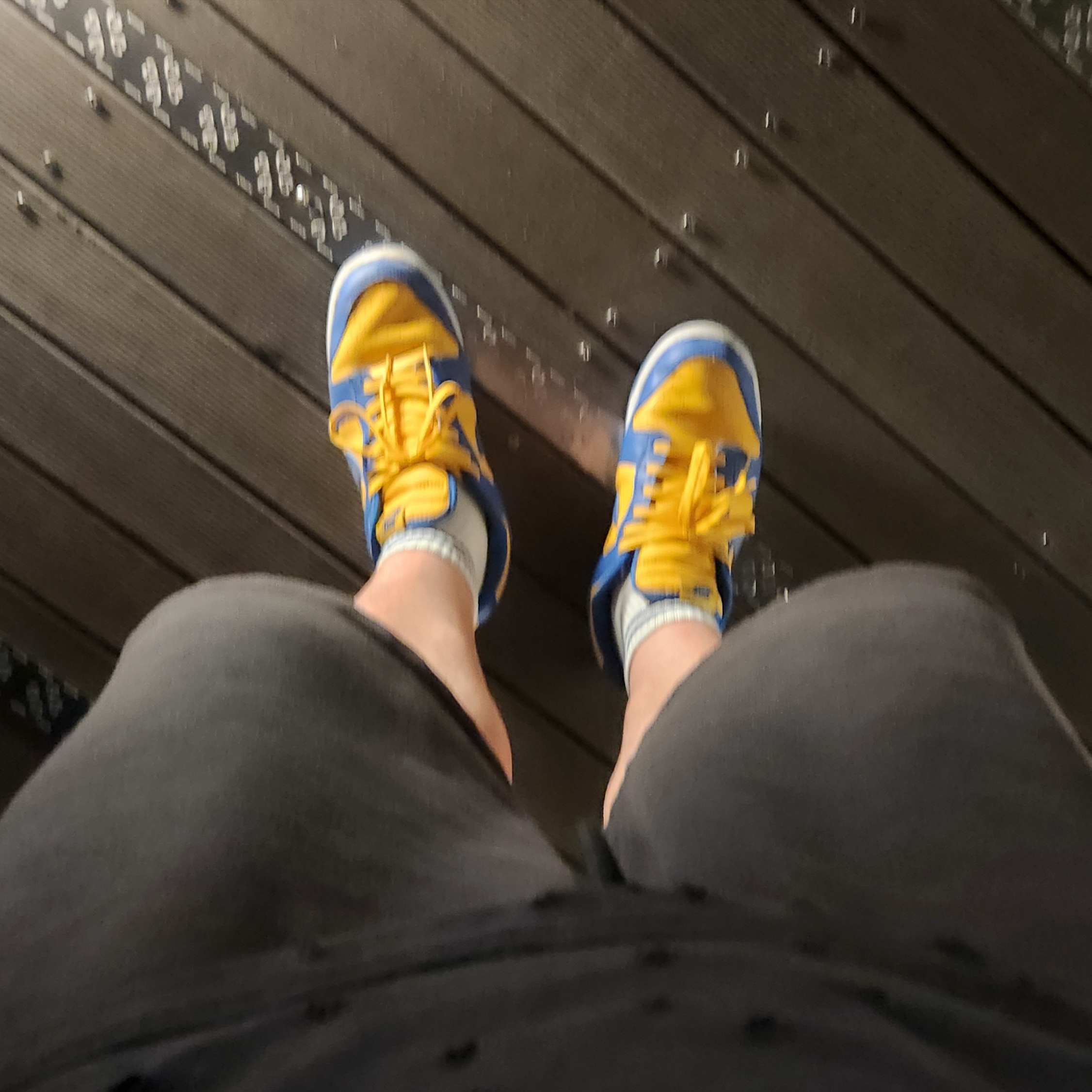 Nike Dunk Low Retro Blue Jay and University Gold 착용 스타일 - 3