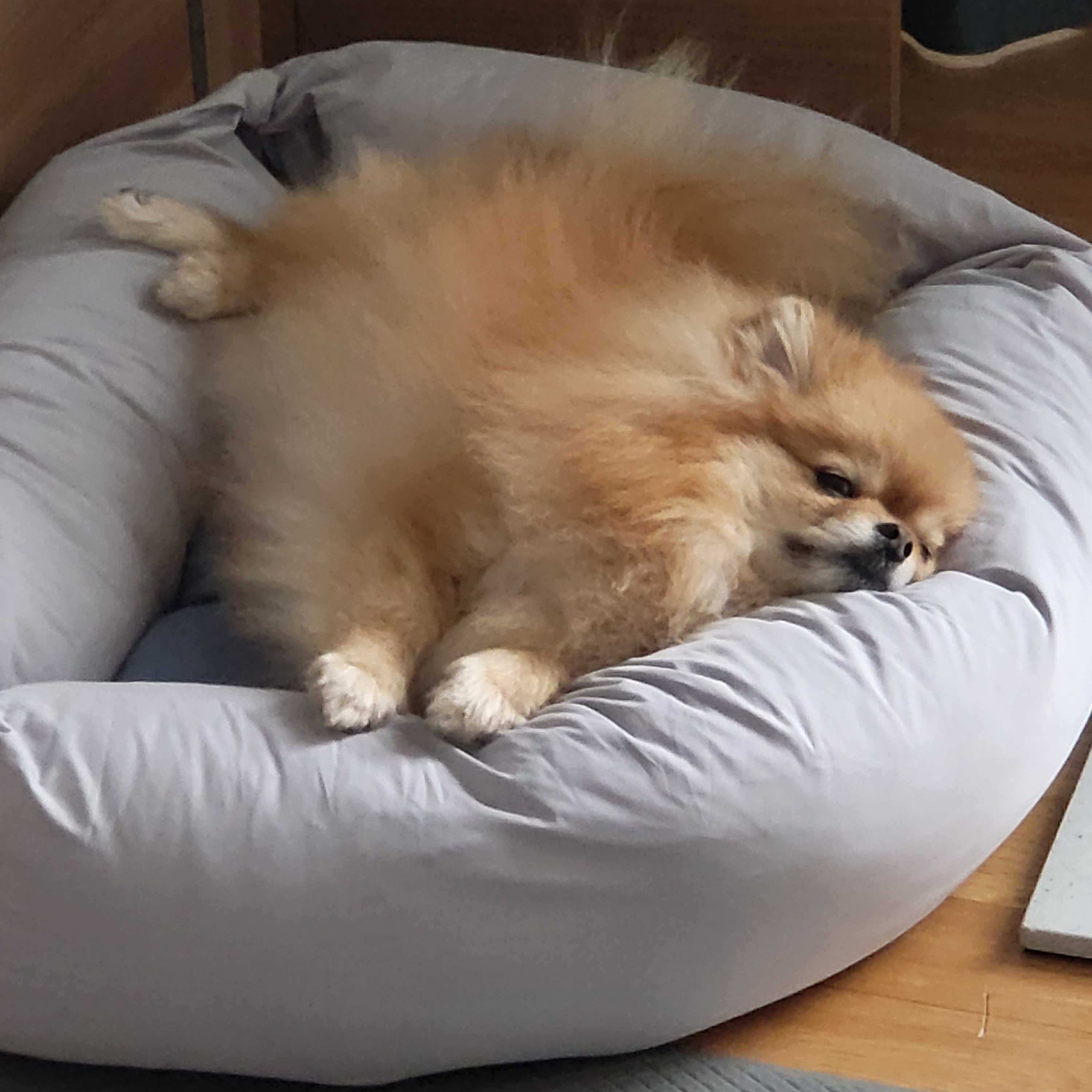11060105님의 스타일