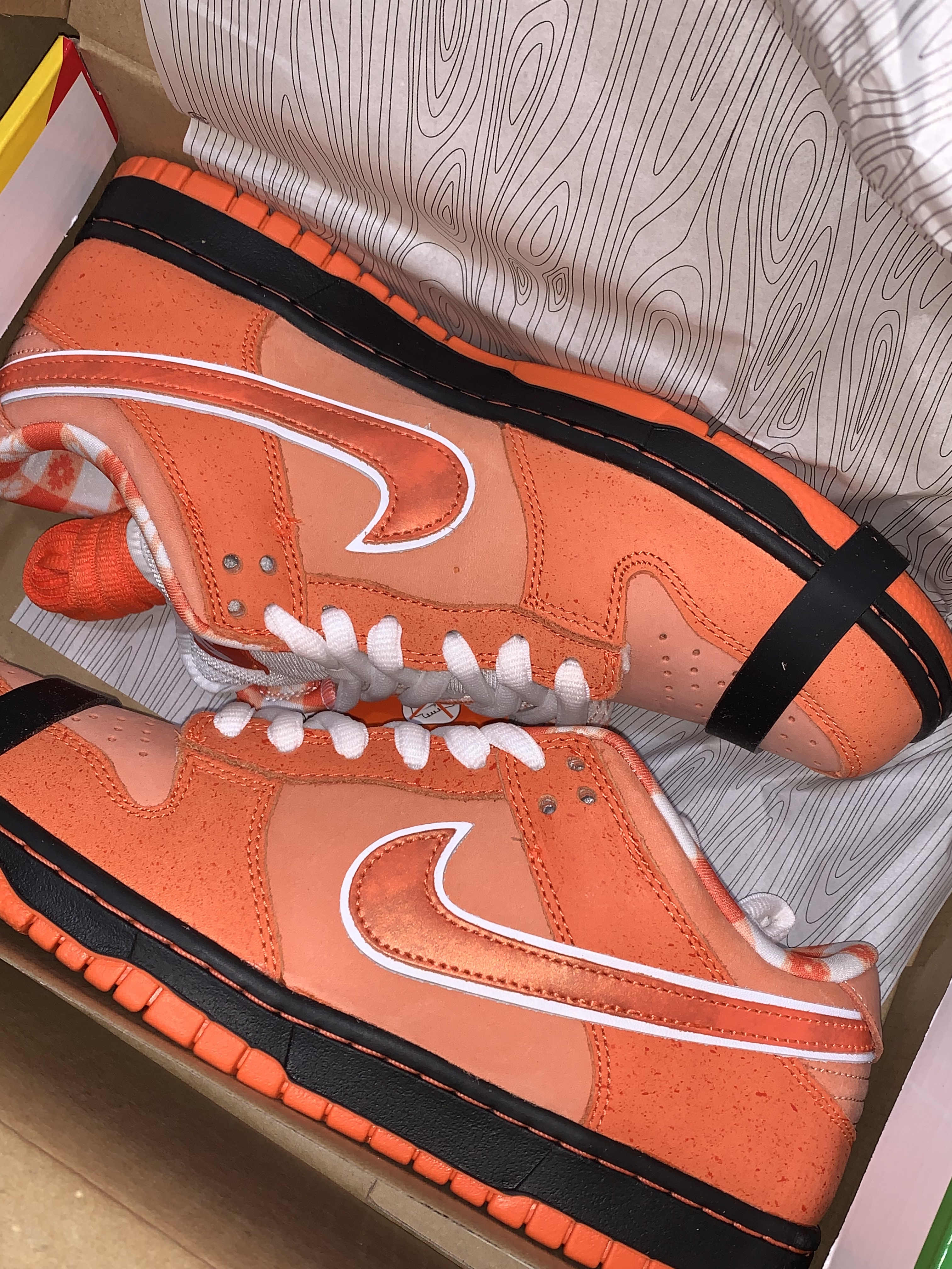 Nike x Concepts SB Dunk Low Orange Lobster (Regular Box) 착용 스타일