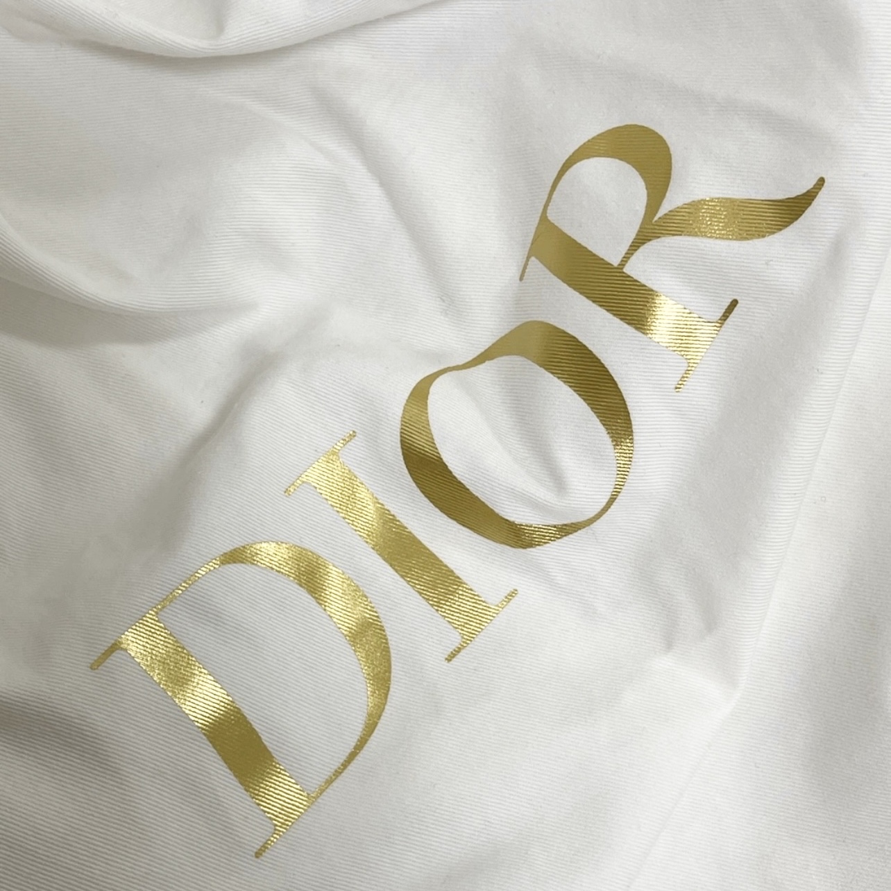 Dior Medium Dior Book Tote Beige Multicolor Mizza Embroidery 착용 스타일 - 4