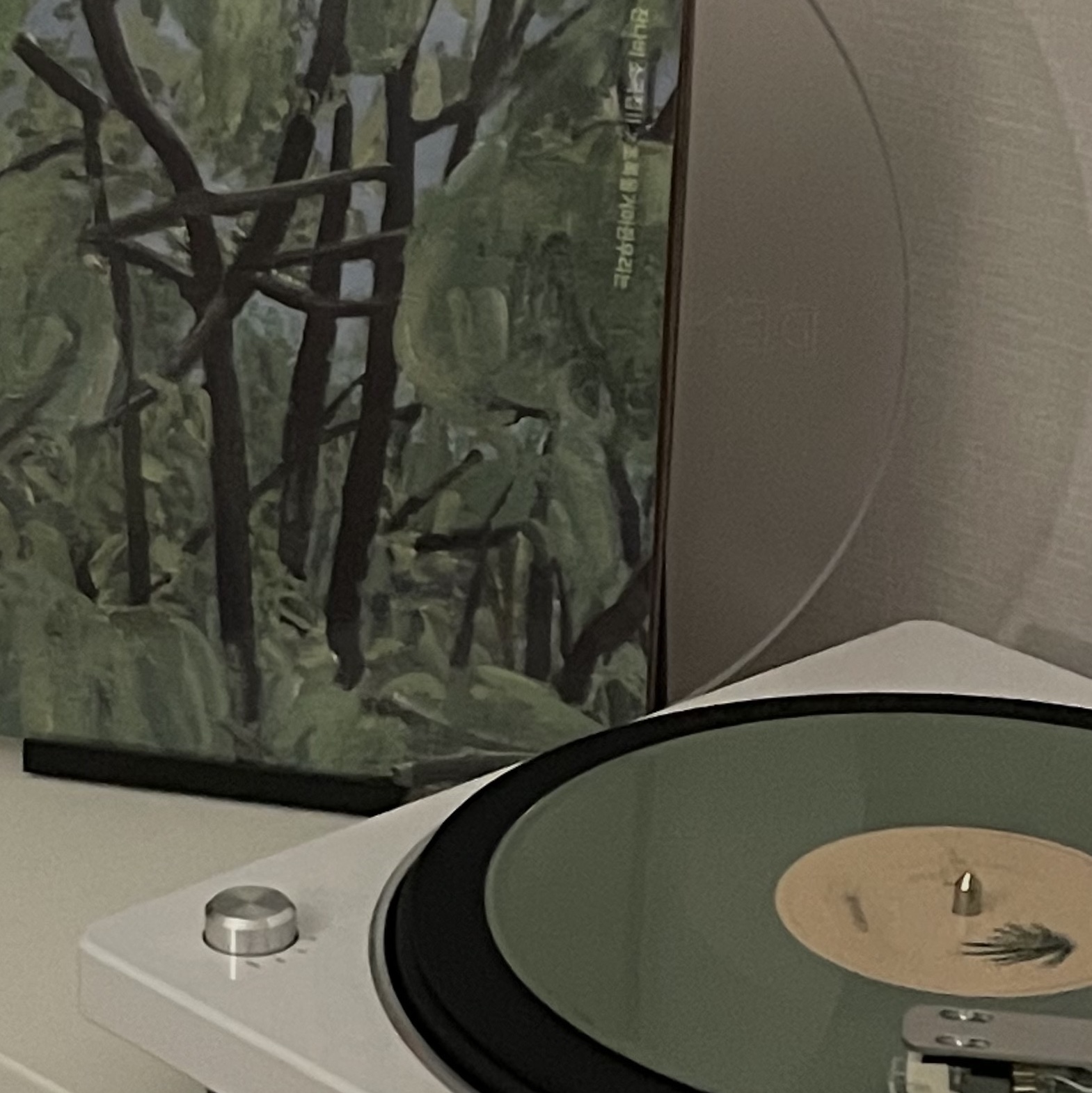 Jannabi Small Pieces II GRIPPIN’THEGREEN Olive Green 착용 스타일